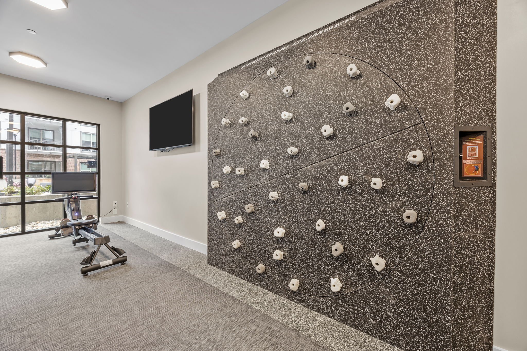Adler Monford Park gym rock wall