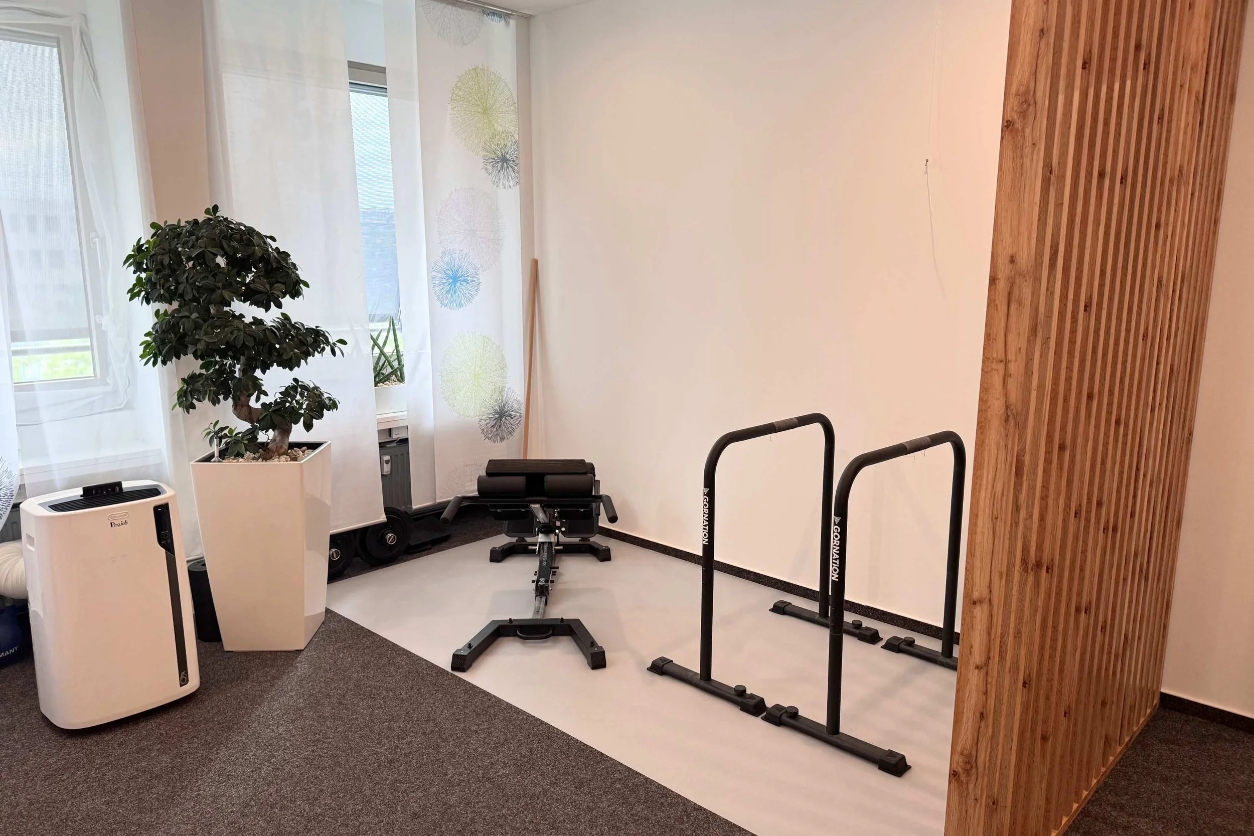 Trainingsbereich der Praxis von Johannes Thies in Darmstadt für Bewegung, Rehabilitation und individuell angepasstes Training.