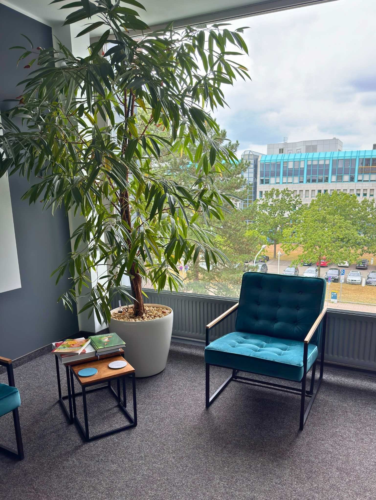 Ruhiger Wartebereich mit Sessel, Pflanzen und Ausblick in der Osteopathie-Praxis in Darmstadt.