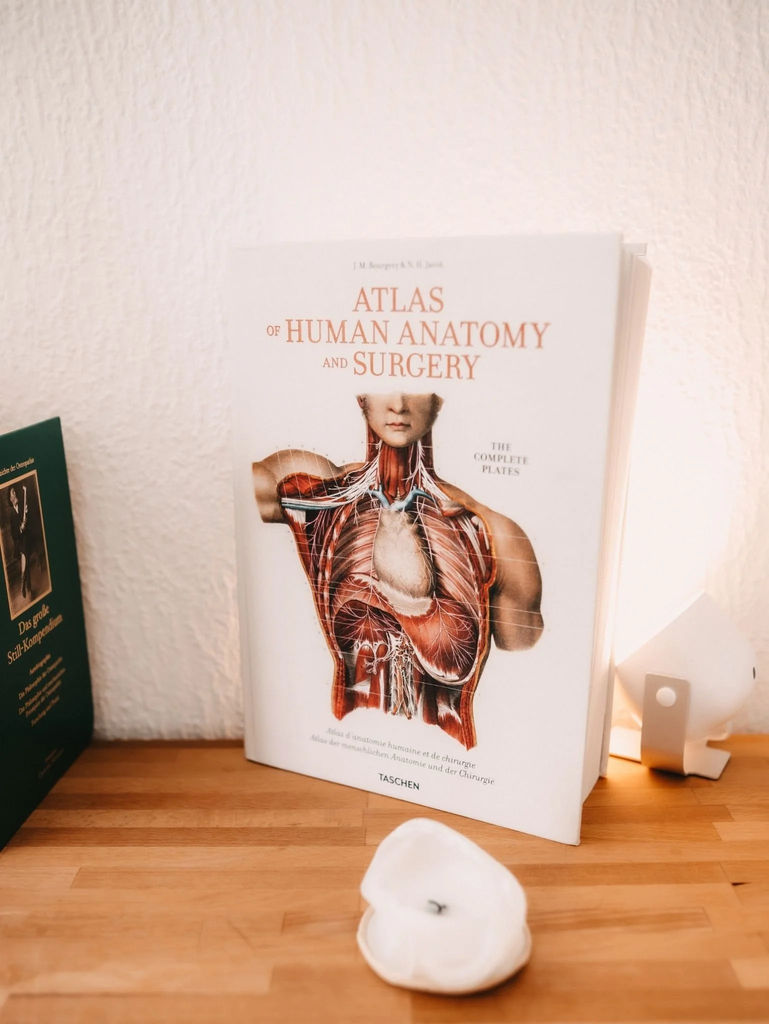 Anatomieatlas und medizinische Fachliteratur in der Osteopathie-Praxis von Johannes Thies in Darmstadt.