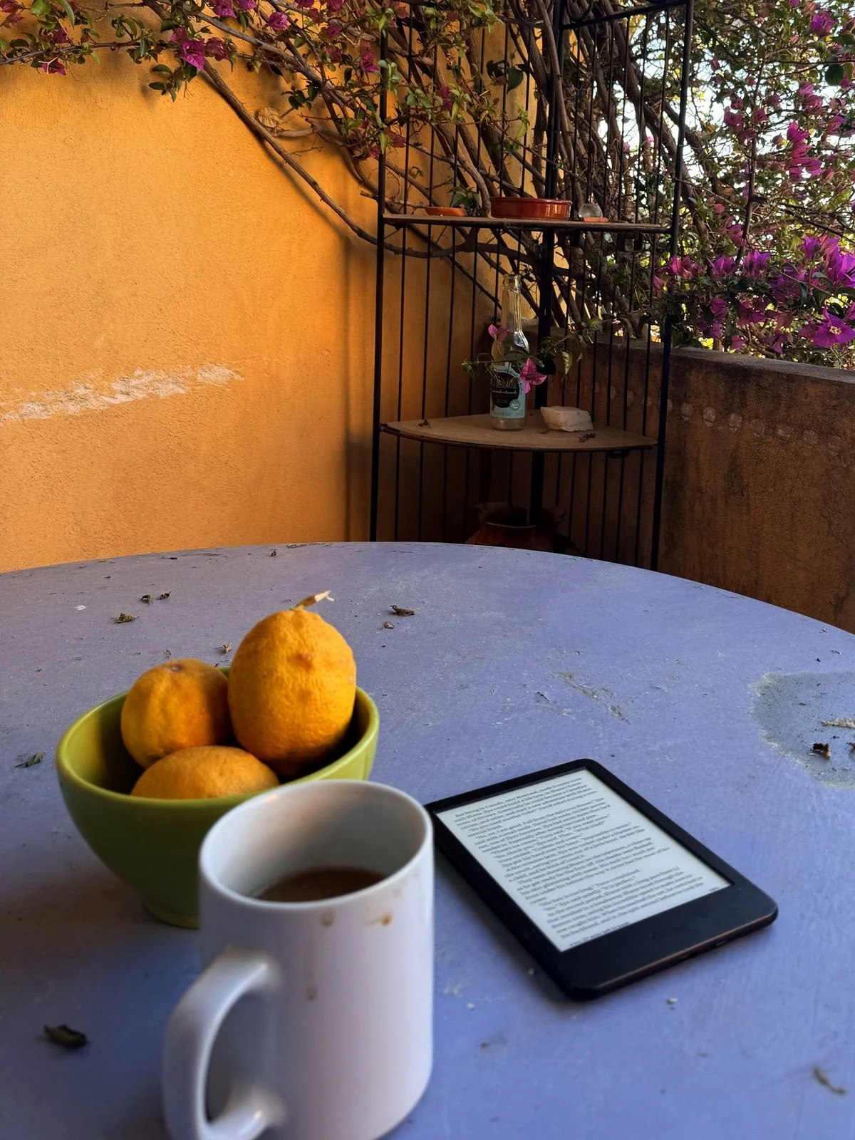 Breakfast on a terrace with bougainvillea
