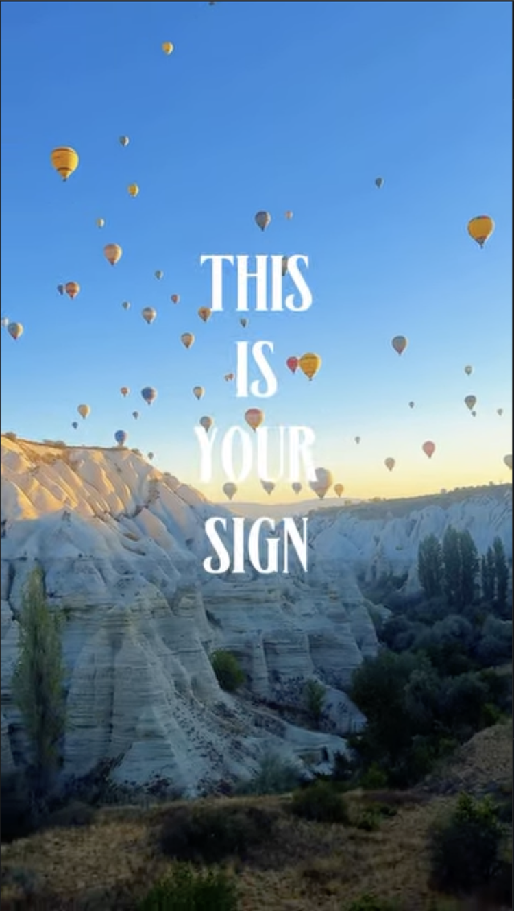 hot air balloons in the sky