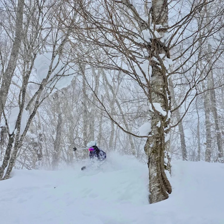 person skiing in woods