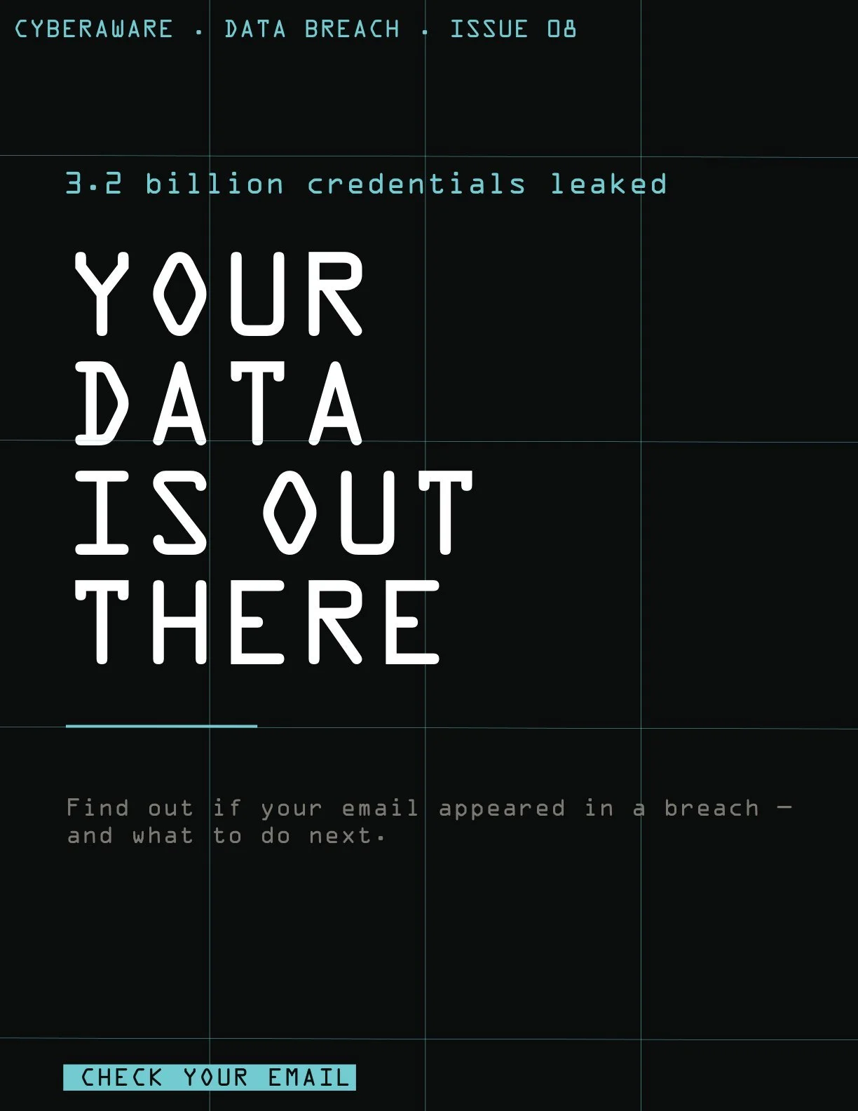 Cover: Your Data Is Out There
