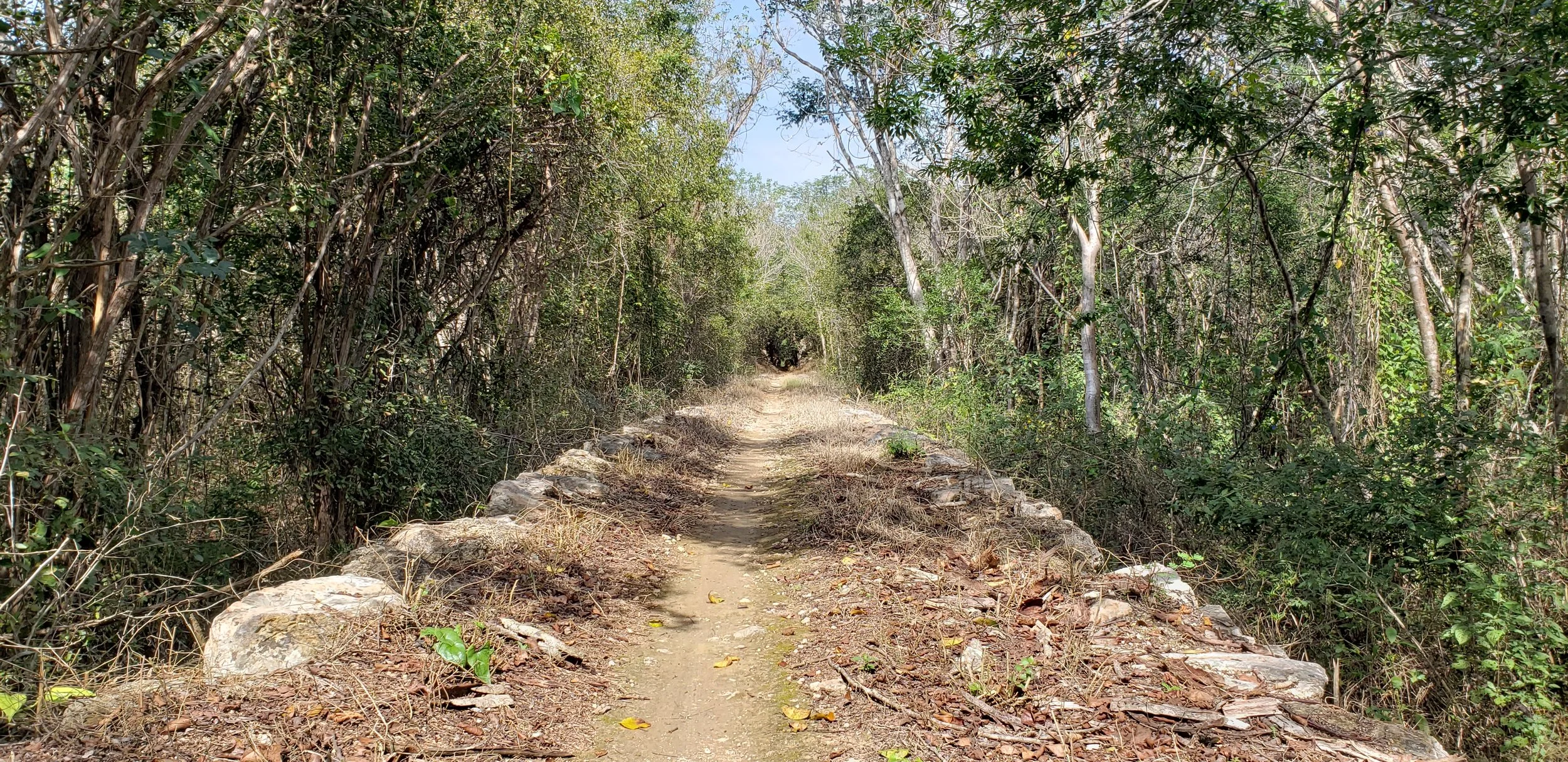 Camino del Truck, antigua vía del henequén