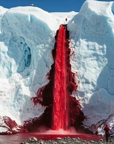 Blood Falls Antarctica: Why the Waterfall Runs Red