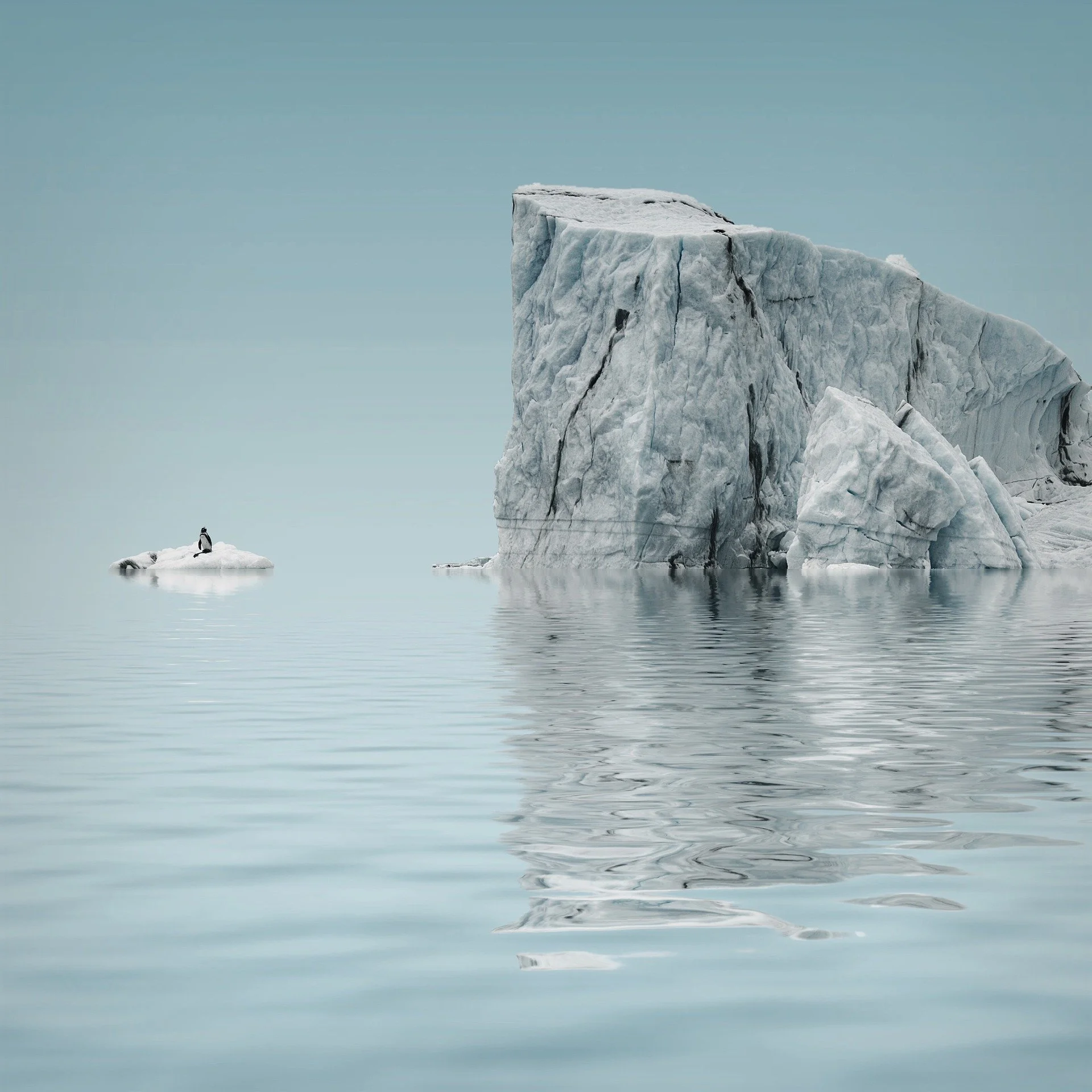 Iceberg along the Drake Passage crossing