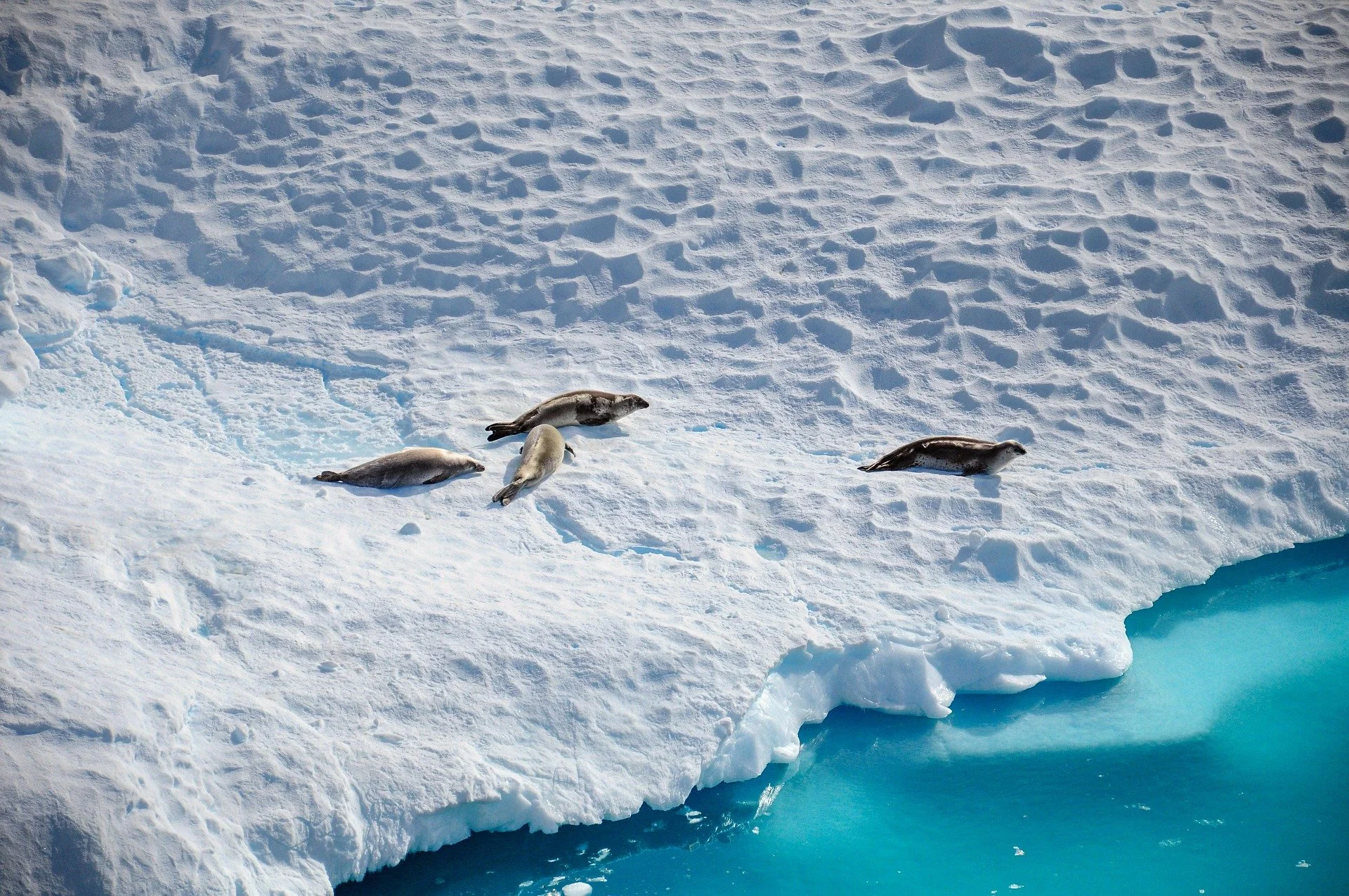 Antarctic Peninsula coastline