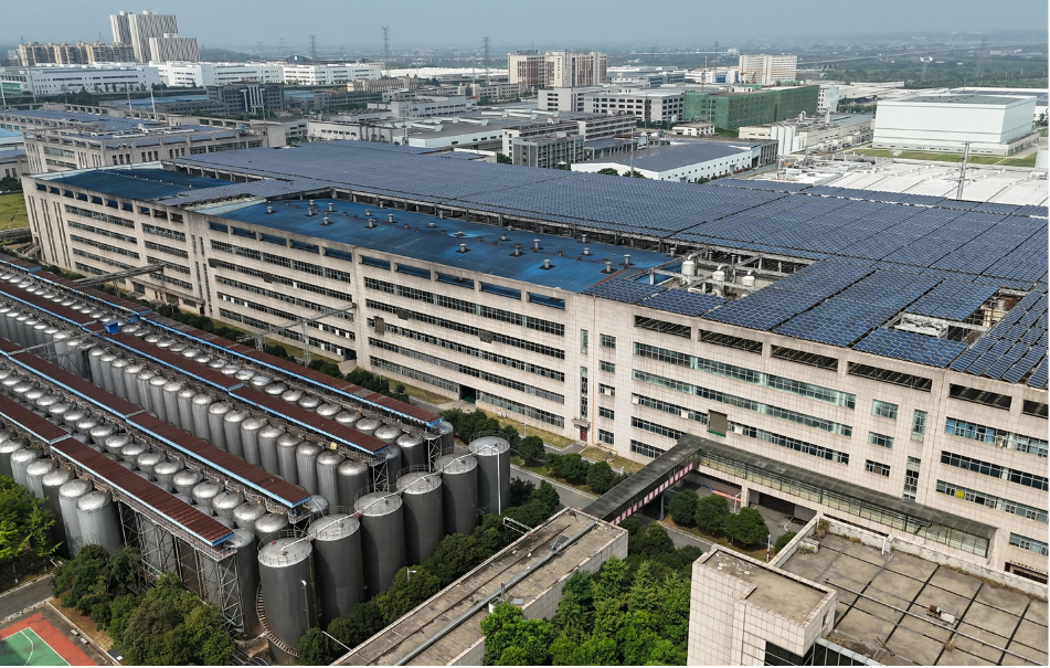 Renewable Energy