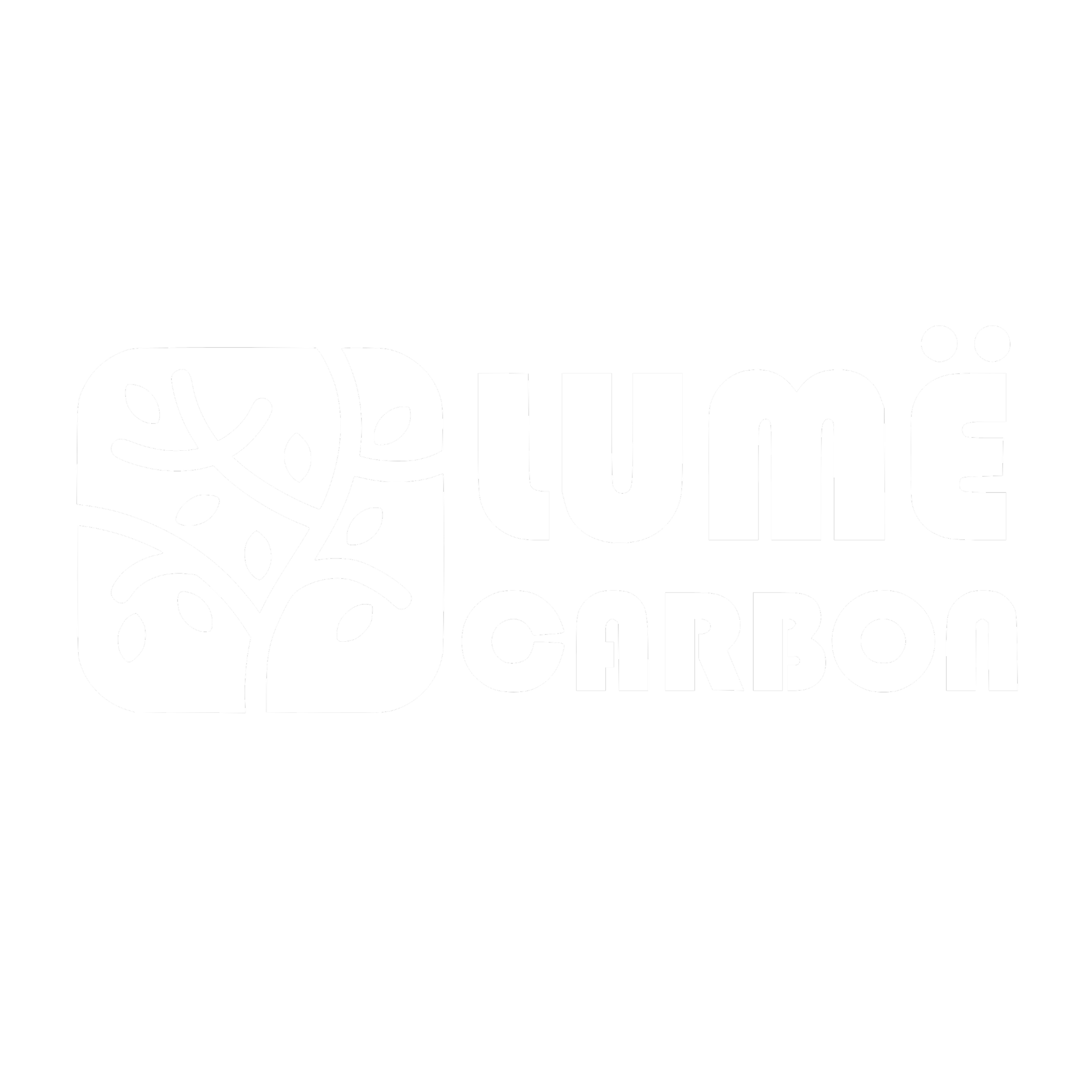 Lume Carbon