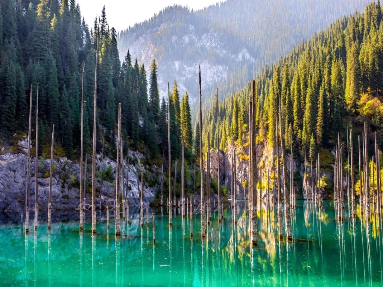 Kaindy Lake Submerged Forest
