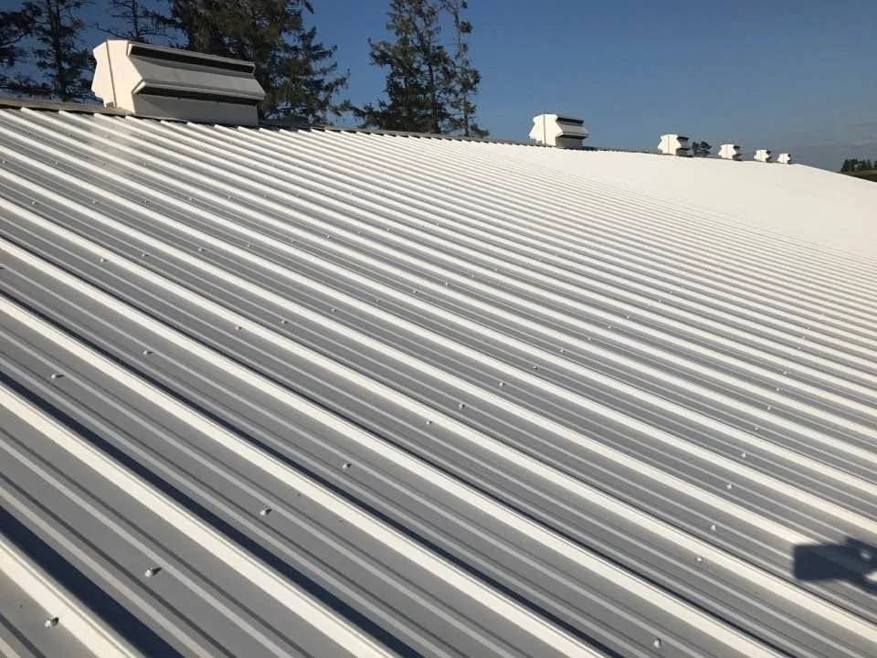 Metal panel roof