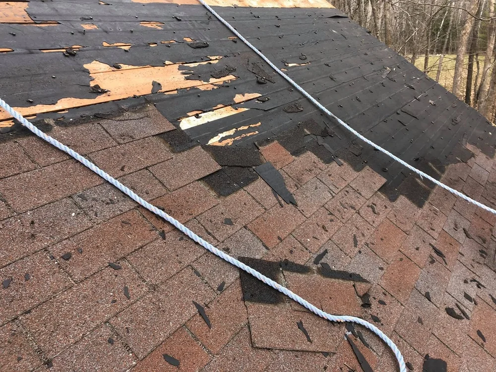 Wind-damaged shingle roof