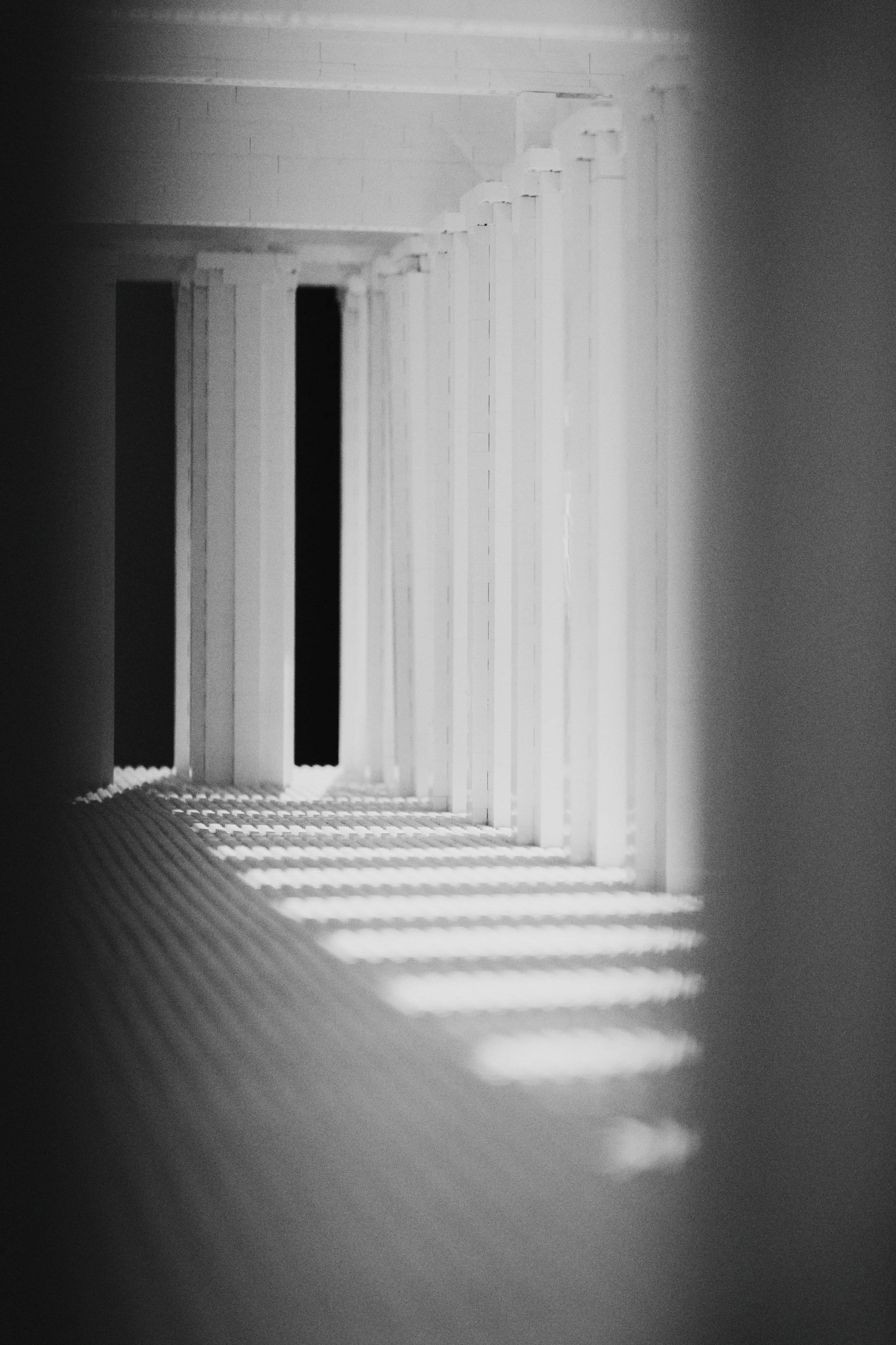Repeated architectural columns seen through a distorted reflection