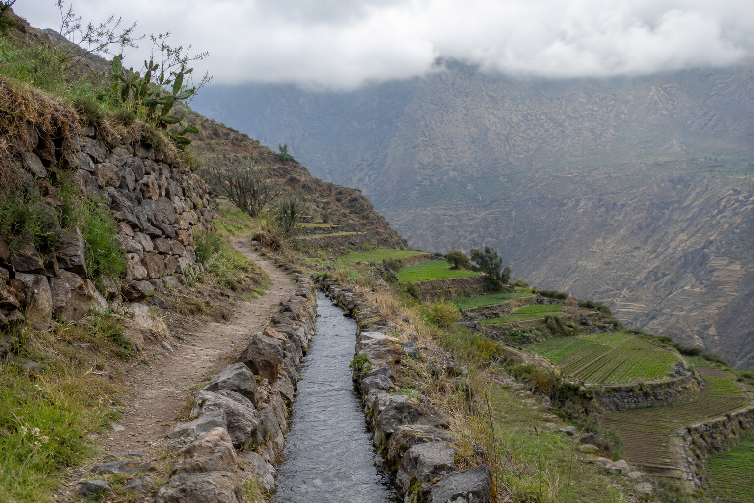 Walking Trail Colca Canyon, Colca Canyon, Peru