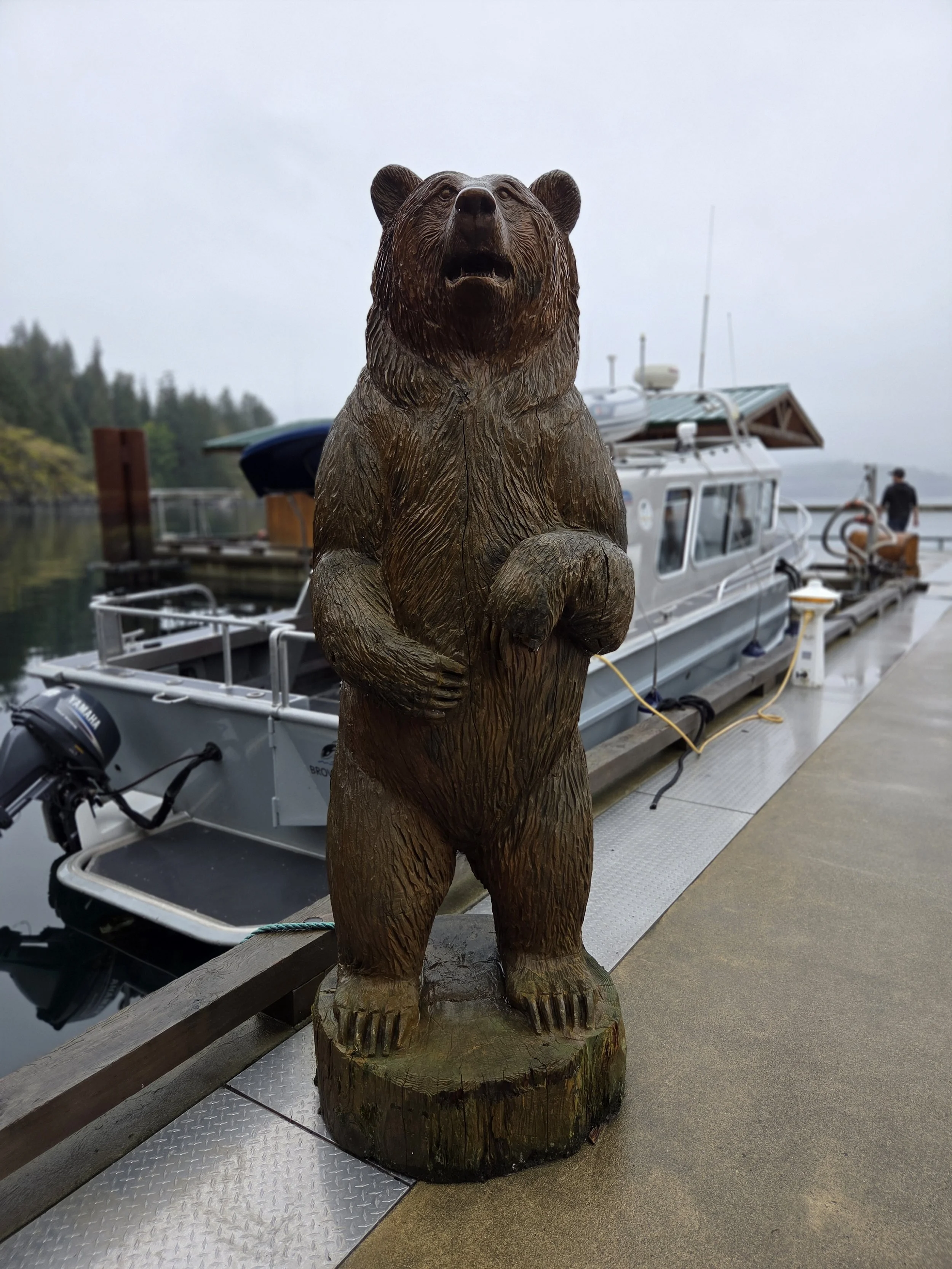 Browns Bay Bear, Browns Bay, Canada