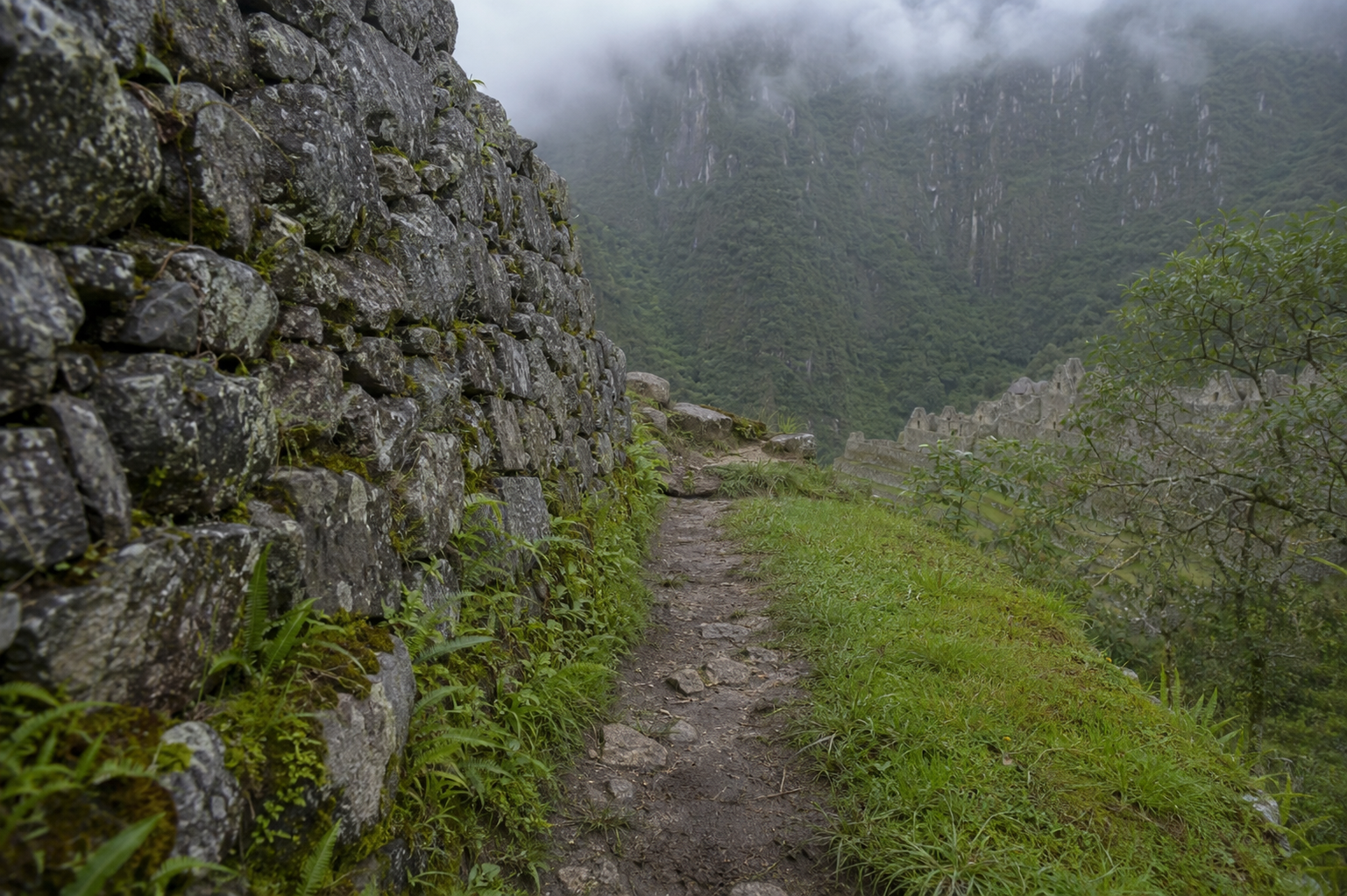 Terraces Beneath Huayna Picchu, Machu Picchu, Peru