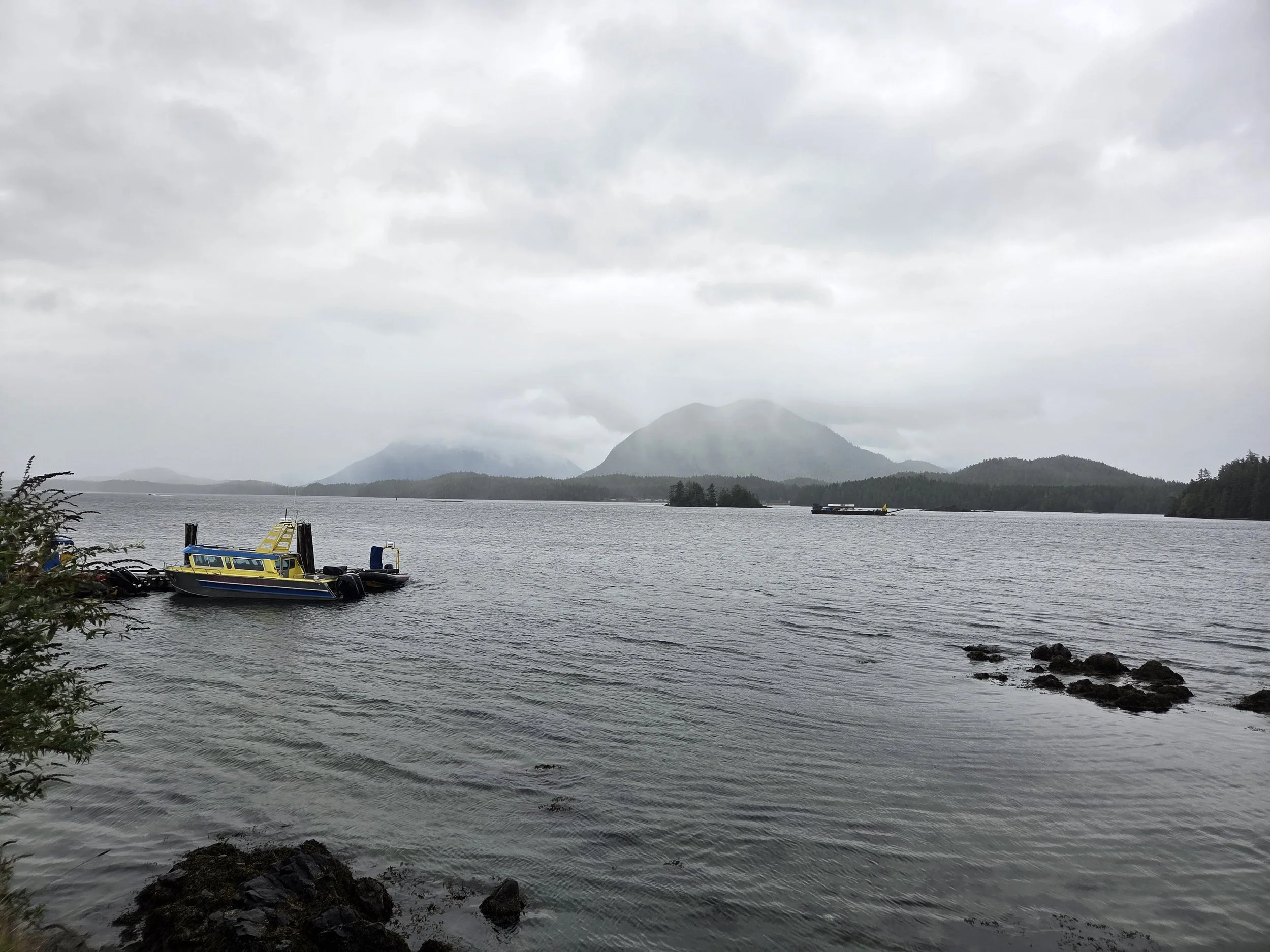 A coastal bay near Tofino on Vancouver Island