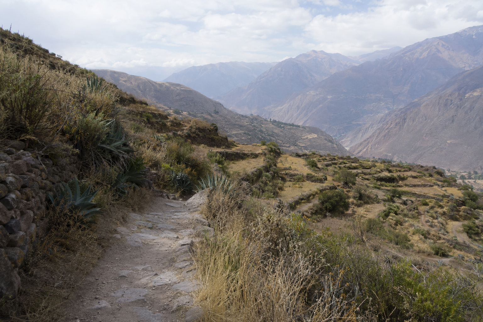 Irrigation Path Above Canyon, Colca Canyon, Peru