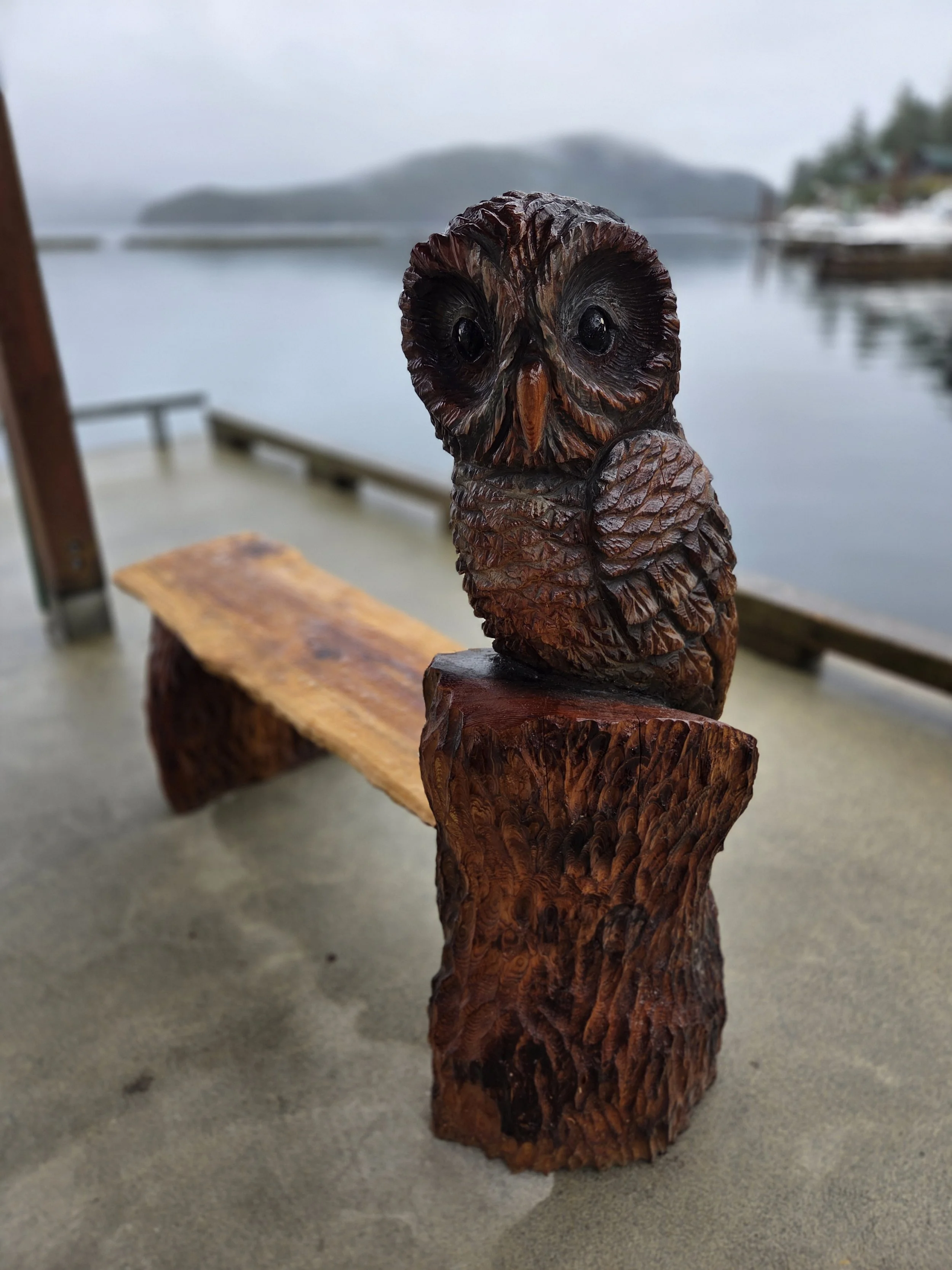 Browns Bay Owl, Browns Bay, Canada