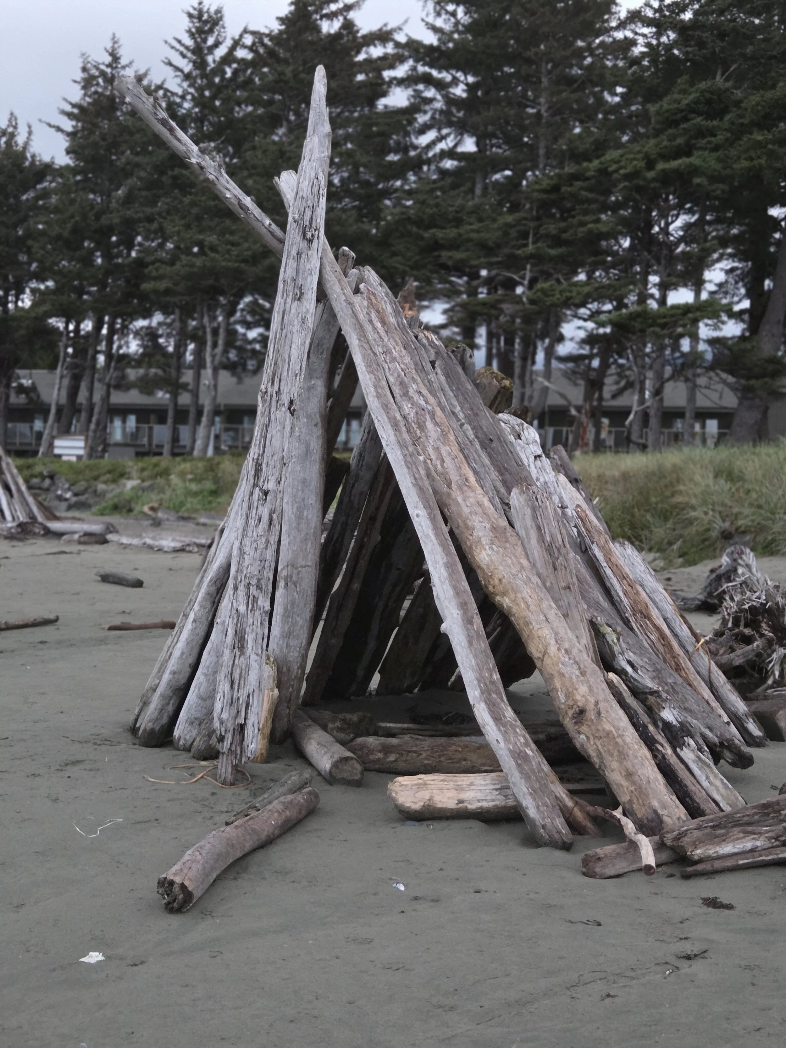 Driftwood Lean-to, Tofino, Canada