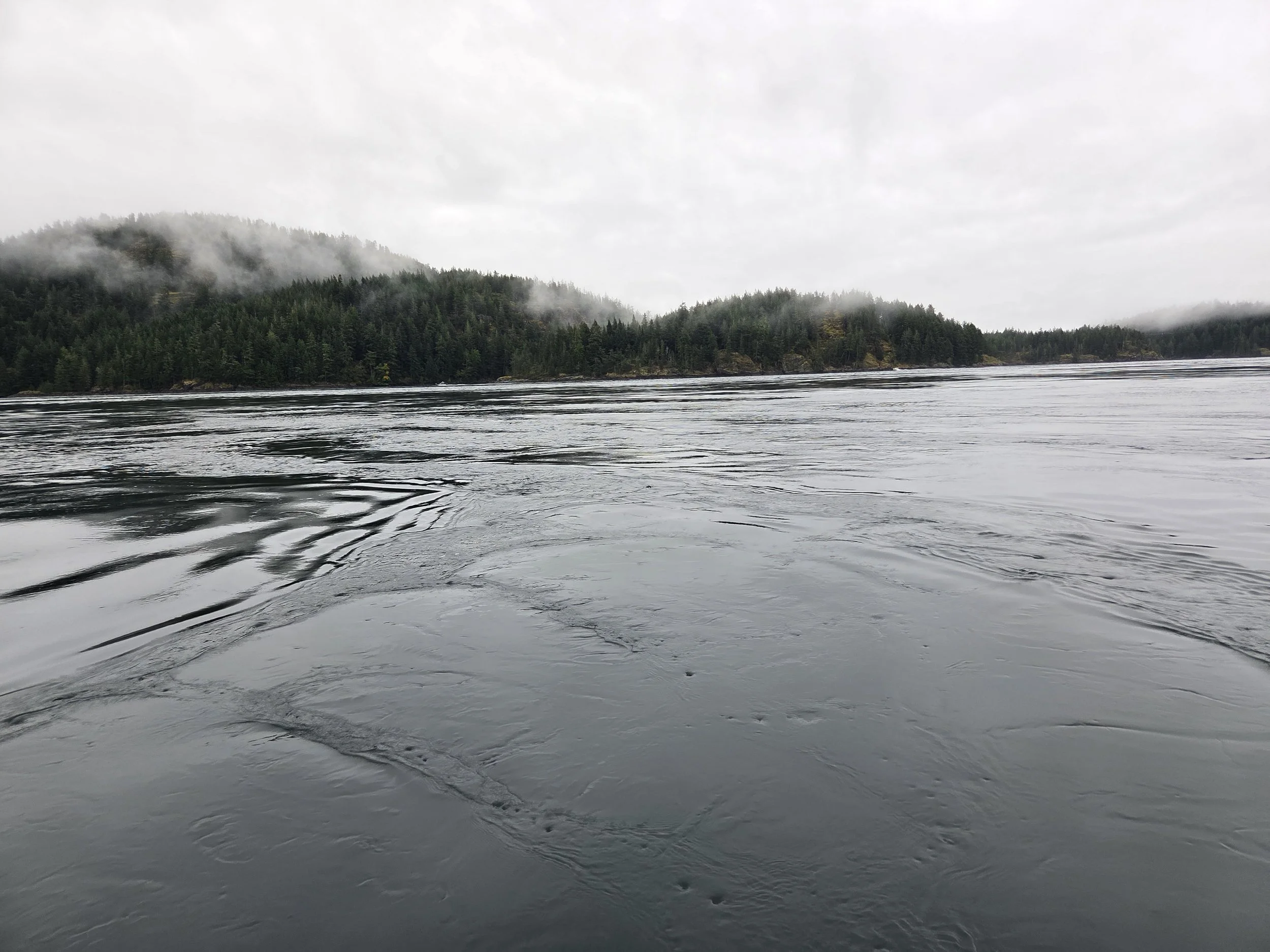 Seymour Narrows Start Whirlpool, Browns Bay, Canada