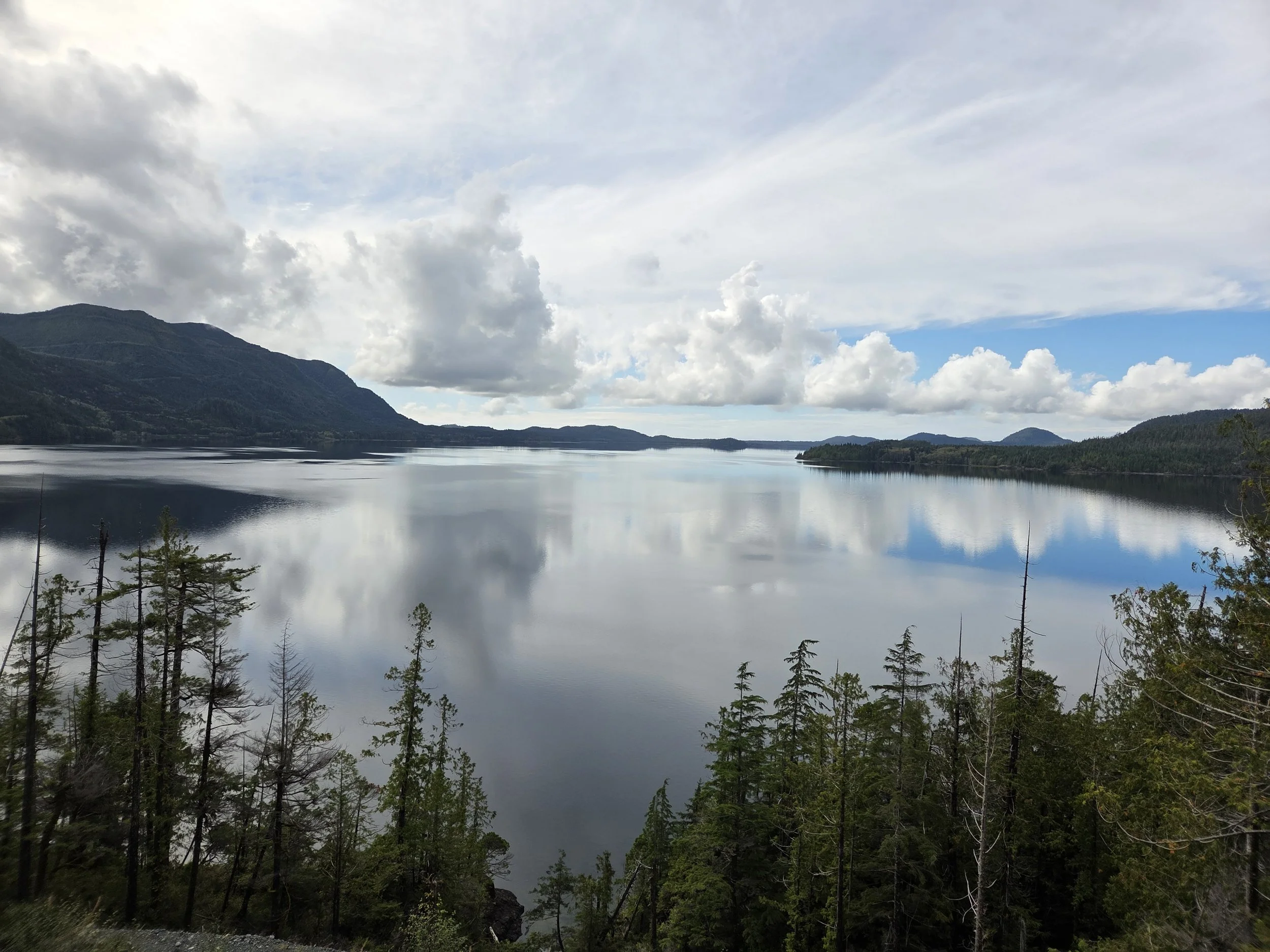 Scenic View Road To Tofino, Tofino, Canada