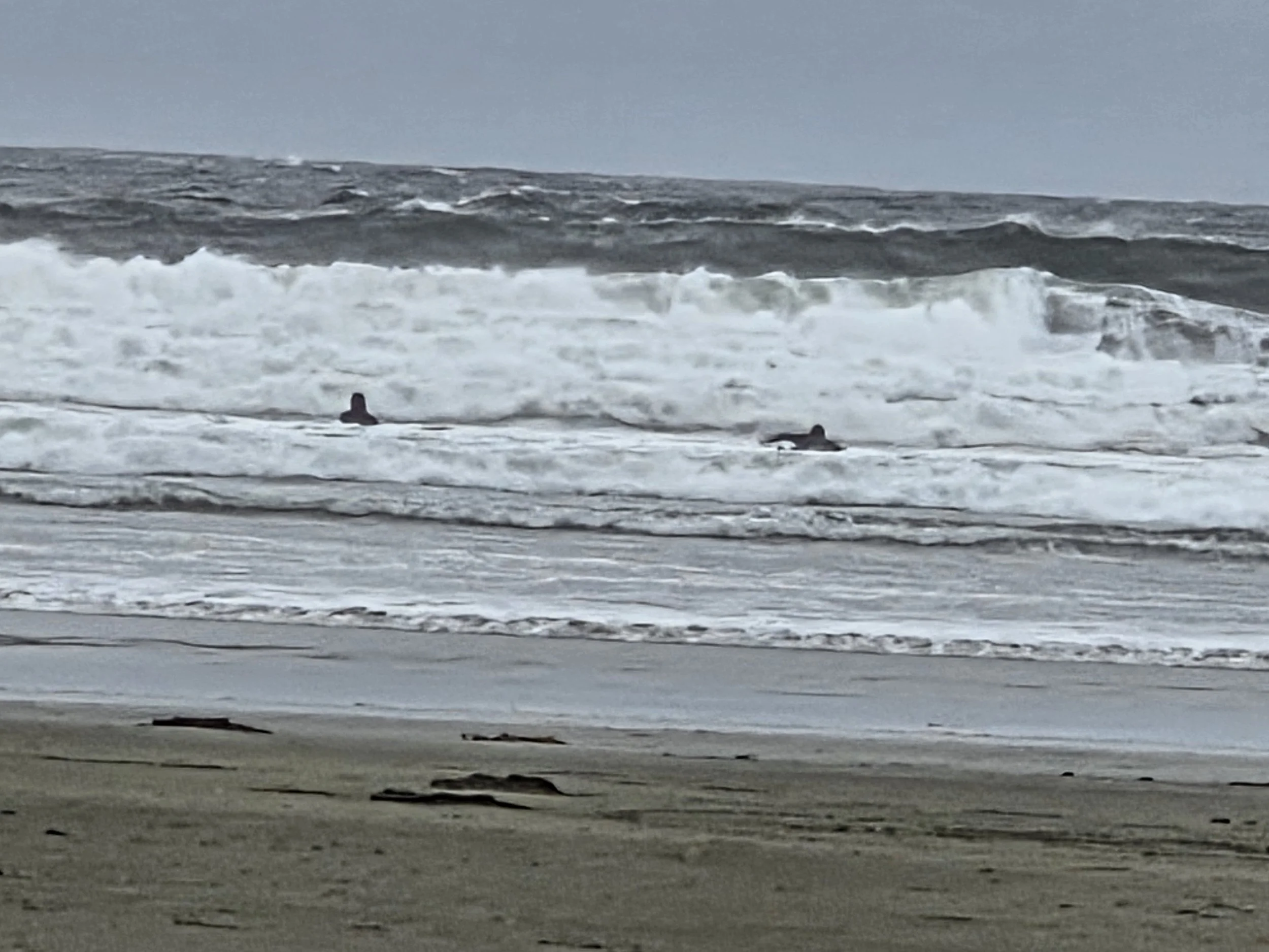 Surfer Tofino, Tofino, Canada