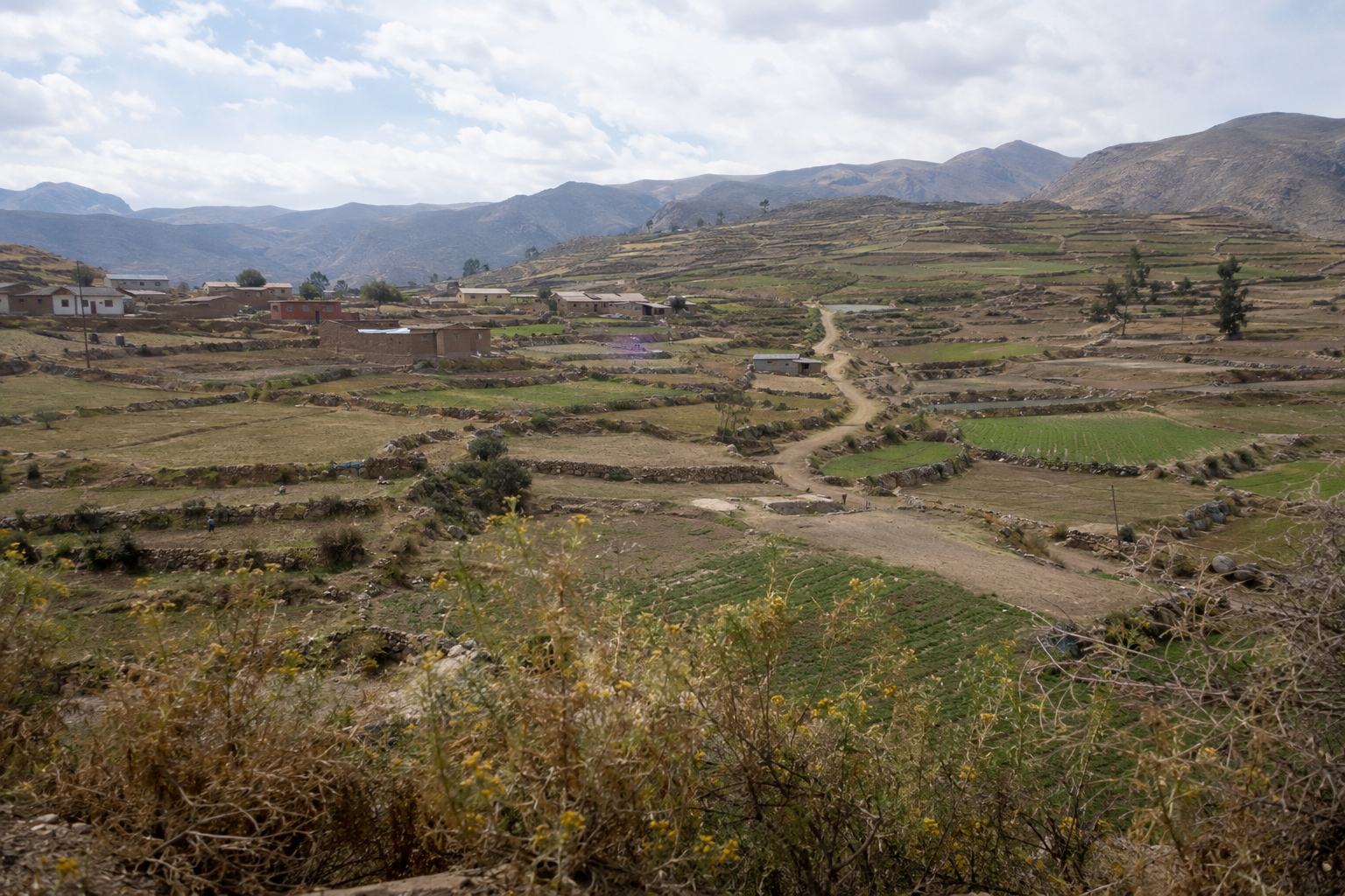 Ancient Agricultural Terraces, Colca Canyon, Peru