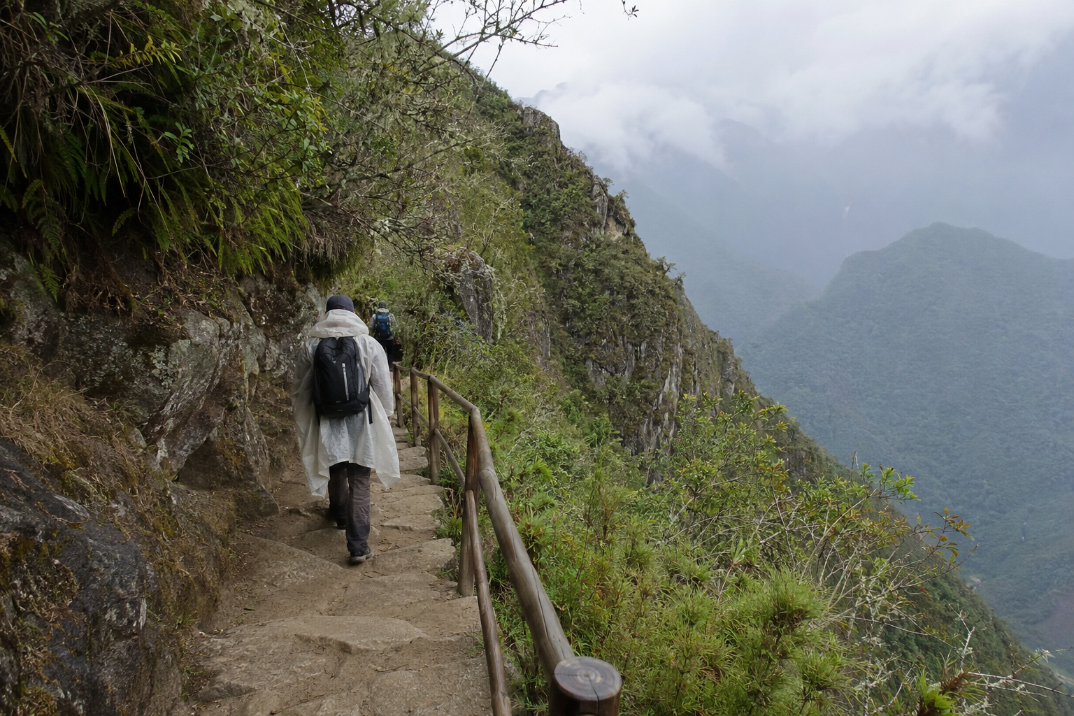 Cloud Forest Trail Machu Picchu, Machu Picchu, Peru