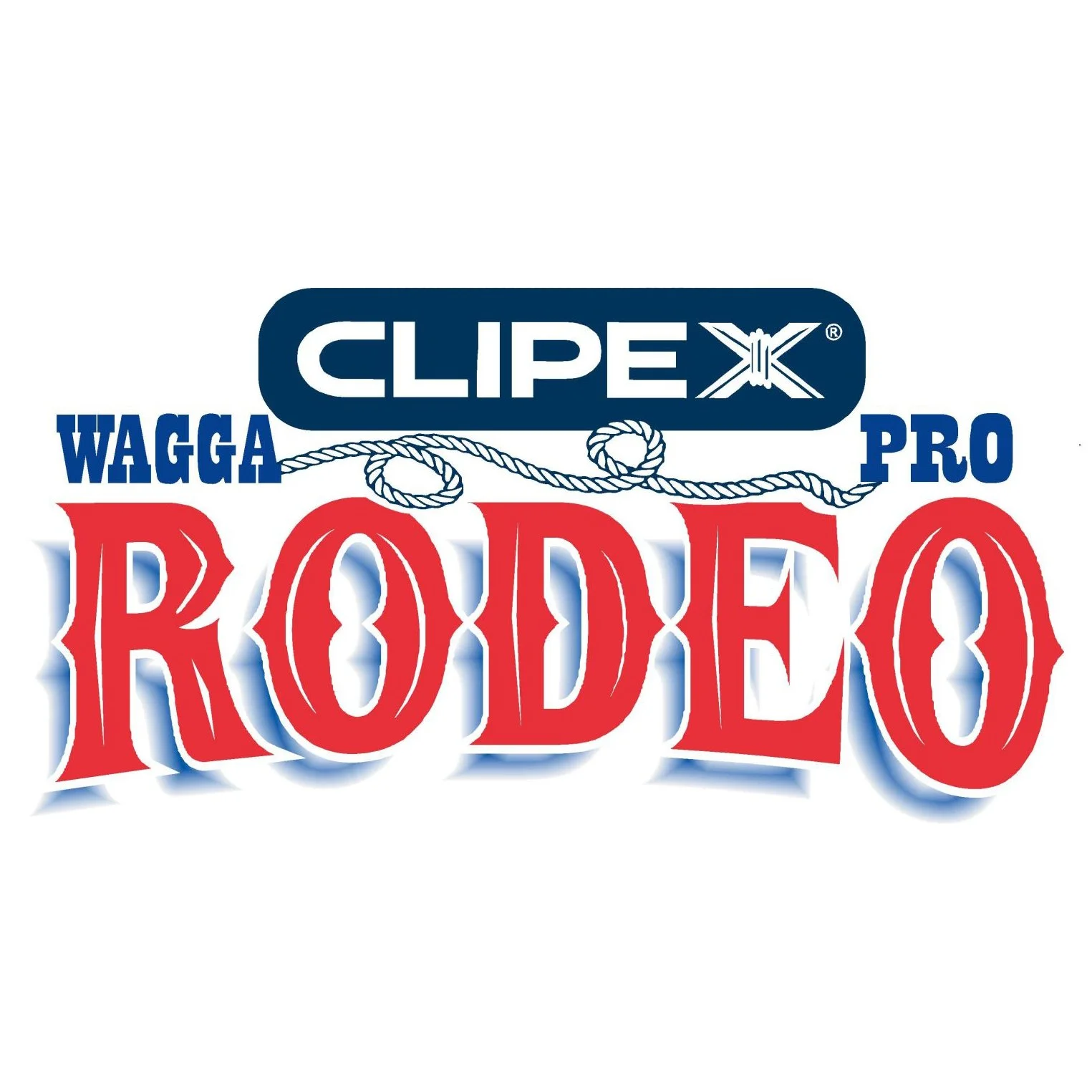 Wagga Rodeo
