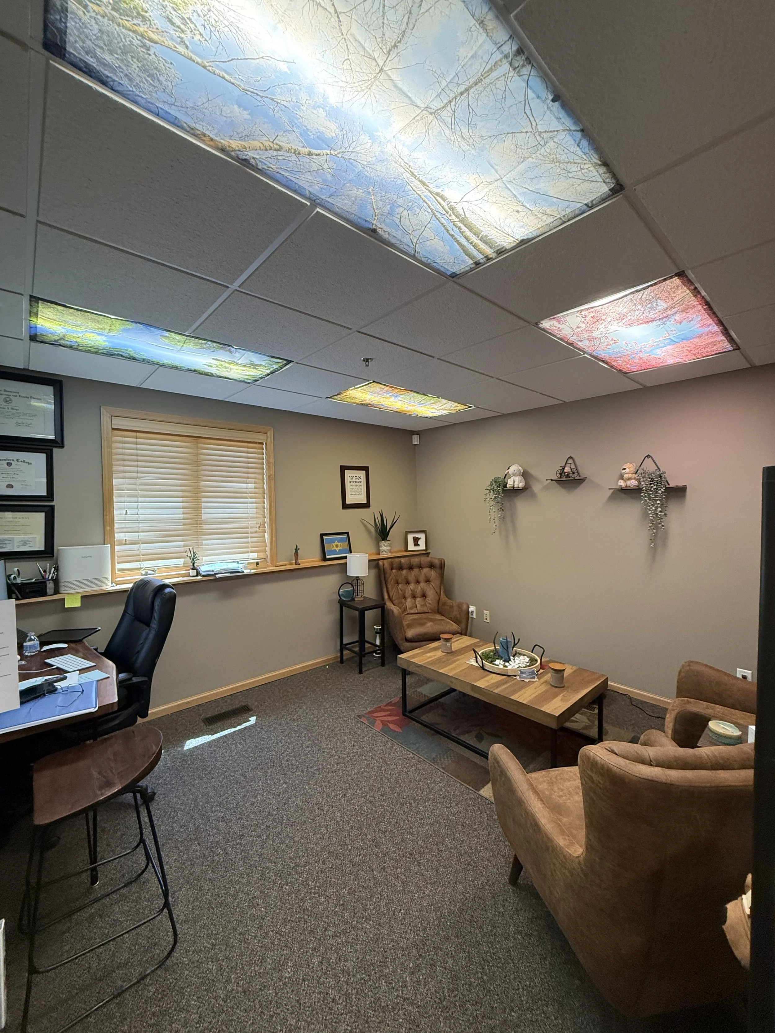 Bernie's office at Redefine Mental Health & Wellness