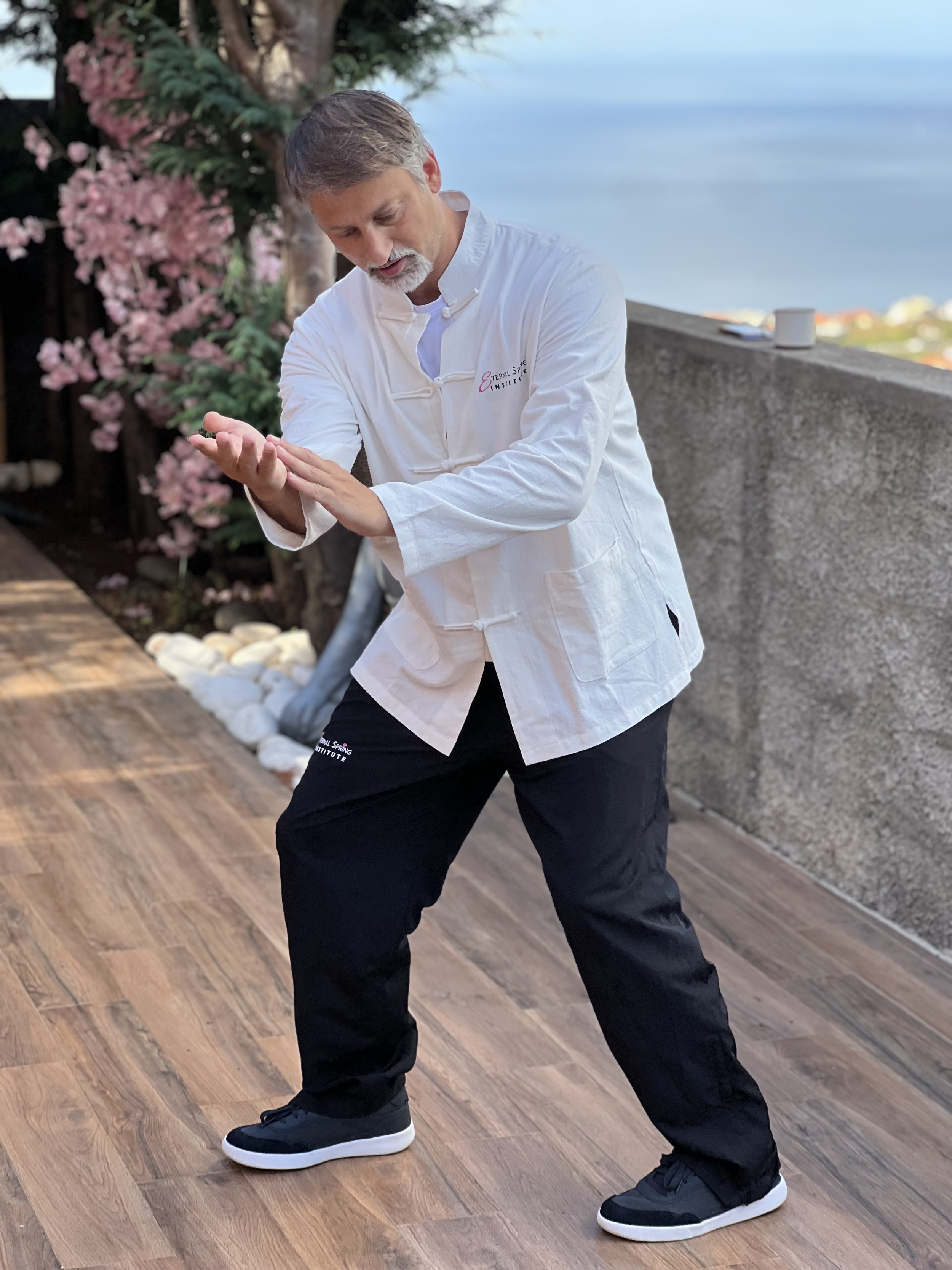 Sifu Sergio Pascal Iadarola