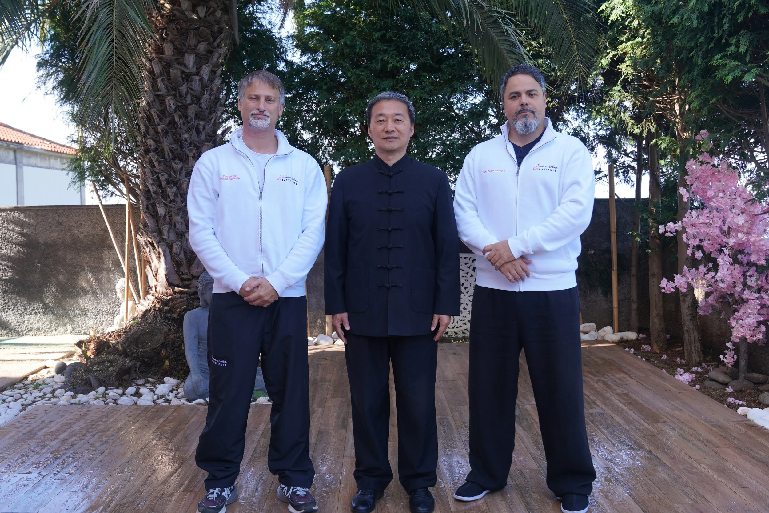 Wu Taijiquan