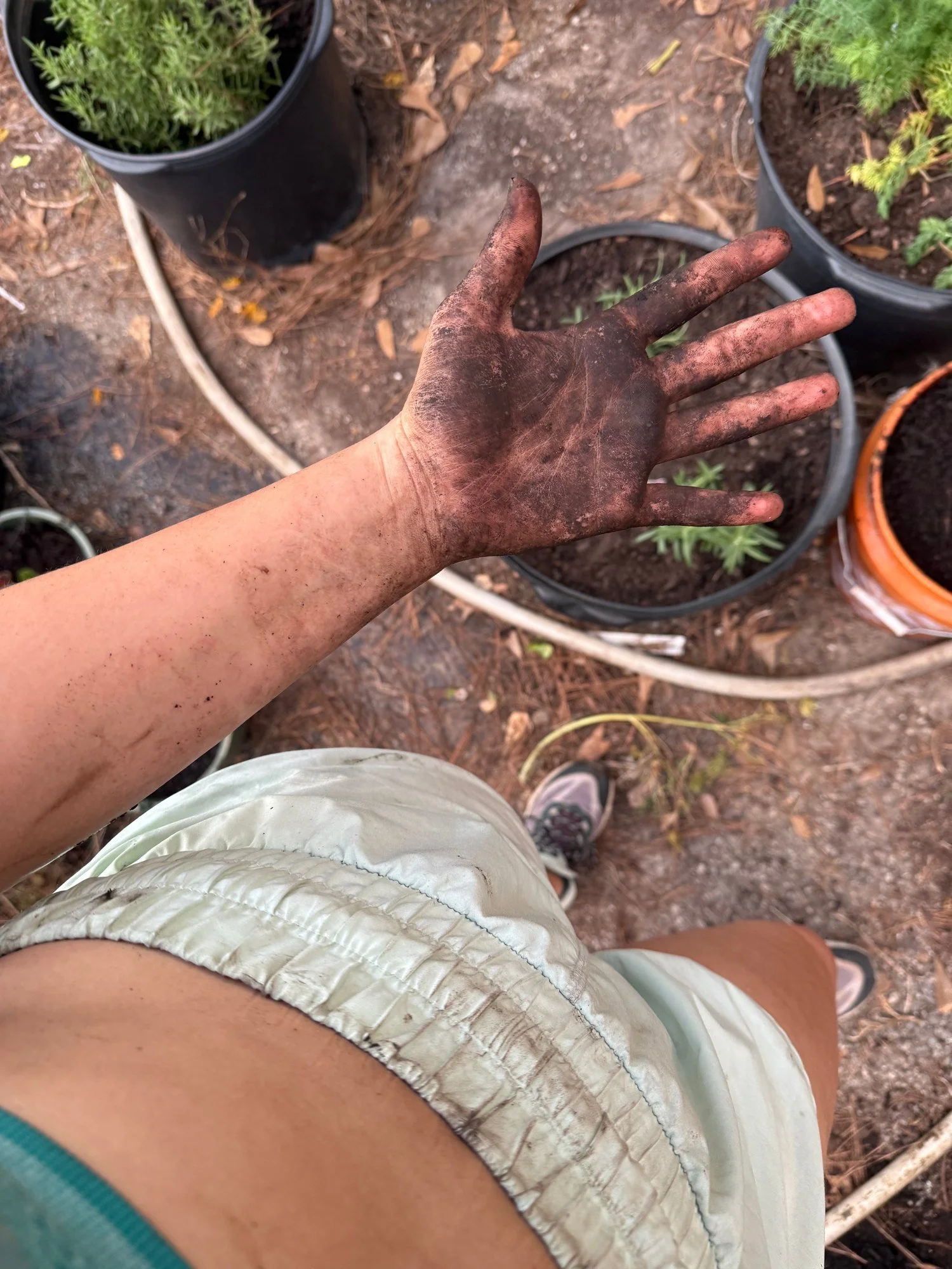 A soil-covered hand beside pots and plants during garden work.
