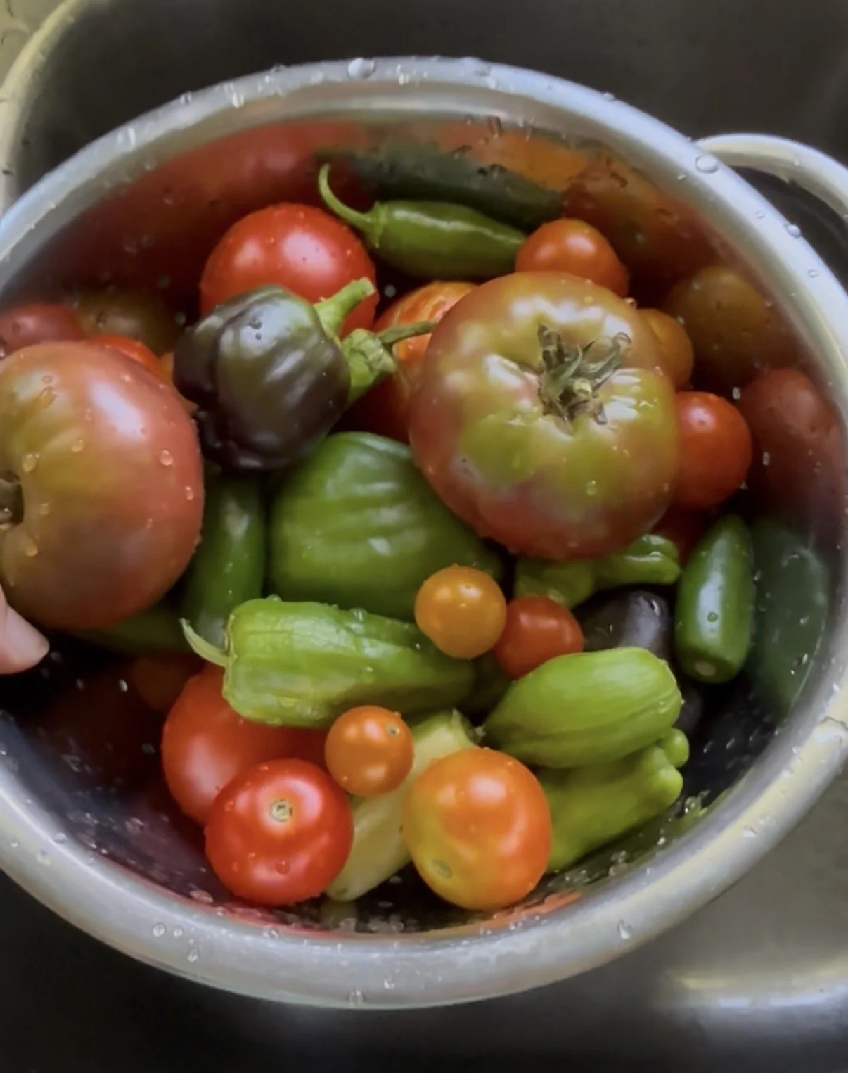 Tomatoes and peppers gathered in a metal colander.