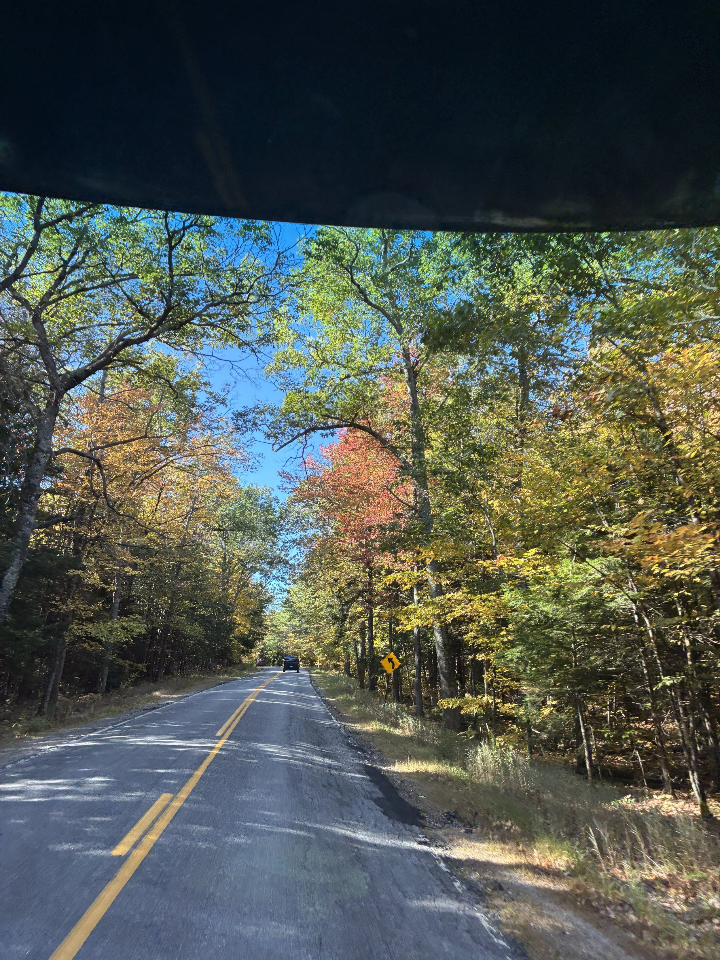 A road through blazing fall foliage, orange and red trees.