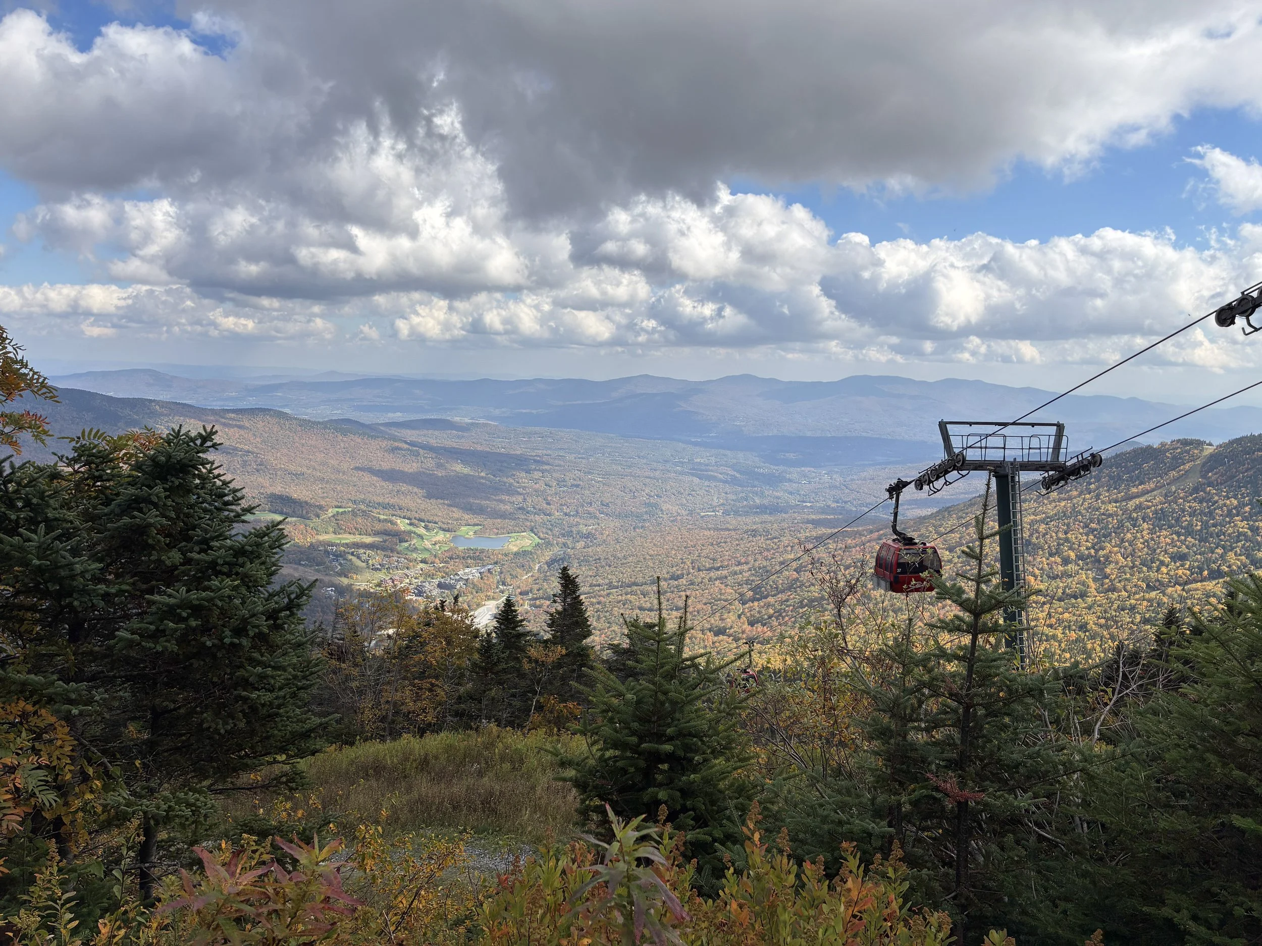 A valley panorama with a gondola line and a red cabin.
