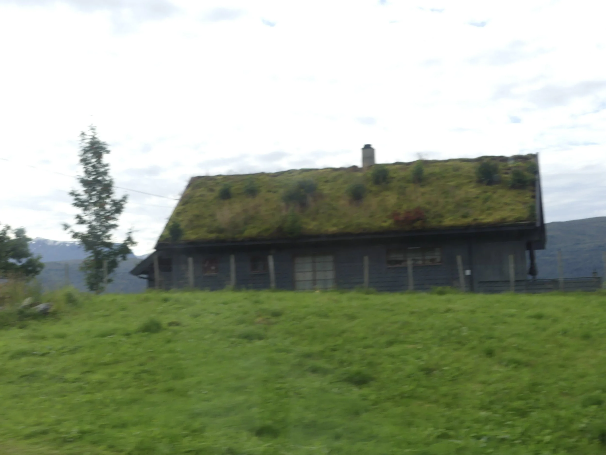 A traditional grass-roof barn in green pasture.