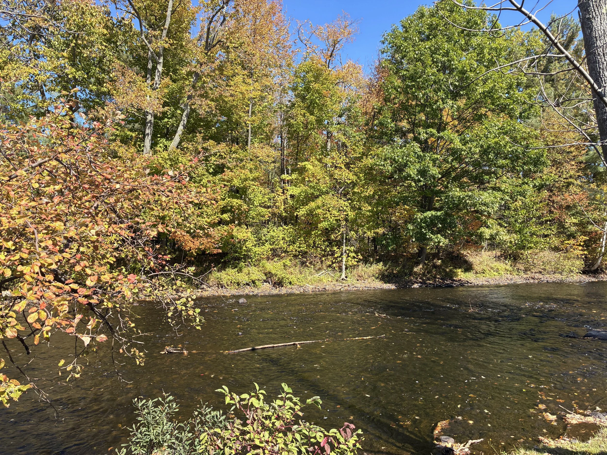 Vibrant red, orange, and yellow fall foliage along a river.