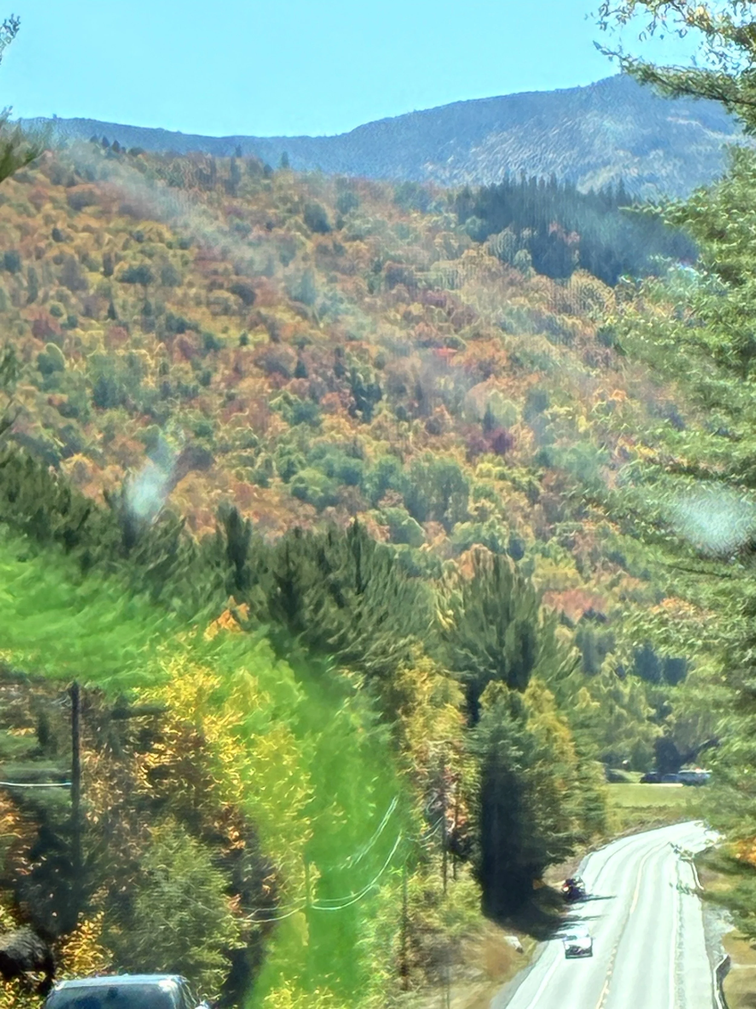 A grand mountain vista with peak fall color and a winding road below.
