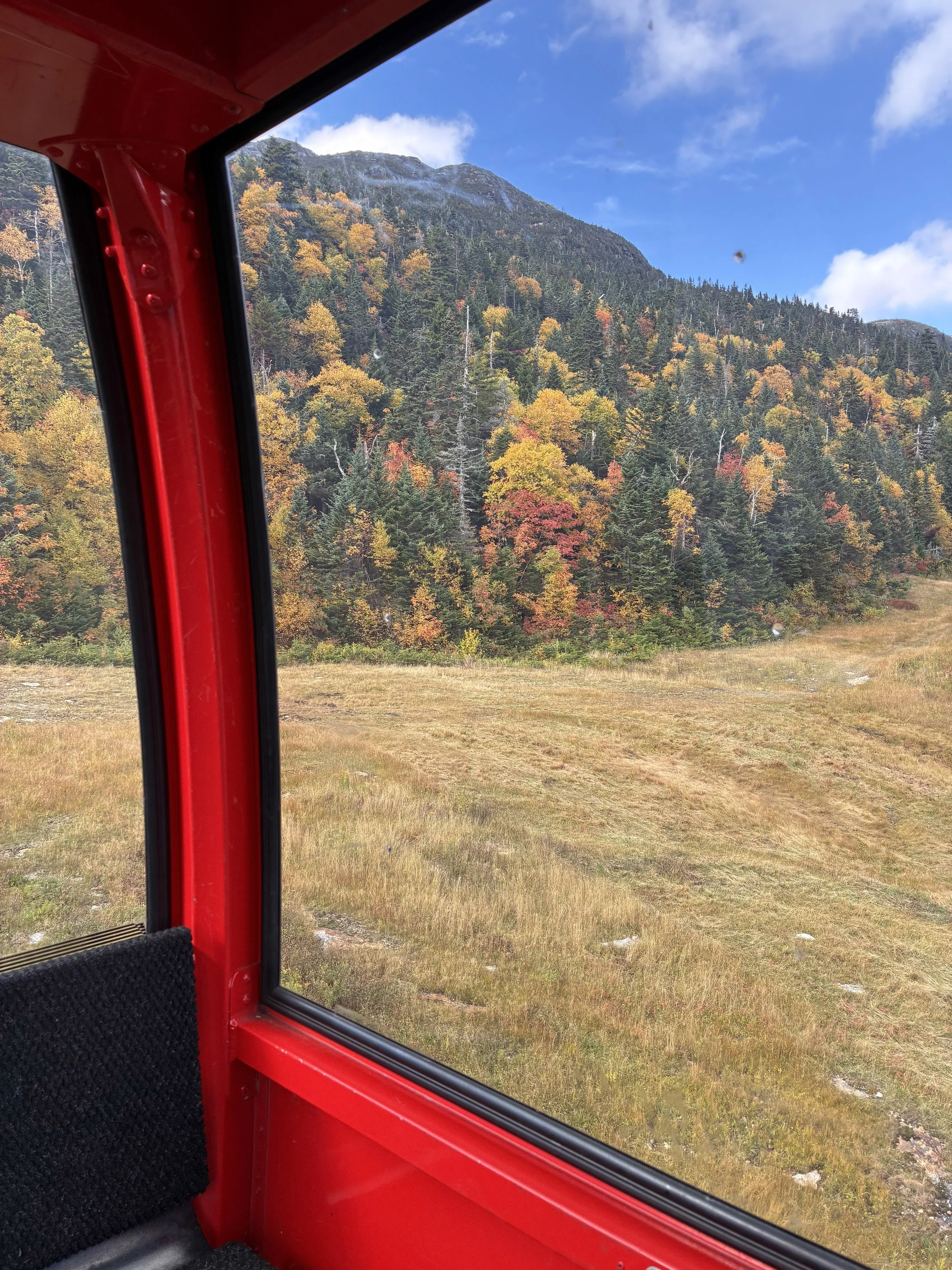 A view from inside the gondola of a fall mountainside.