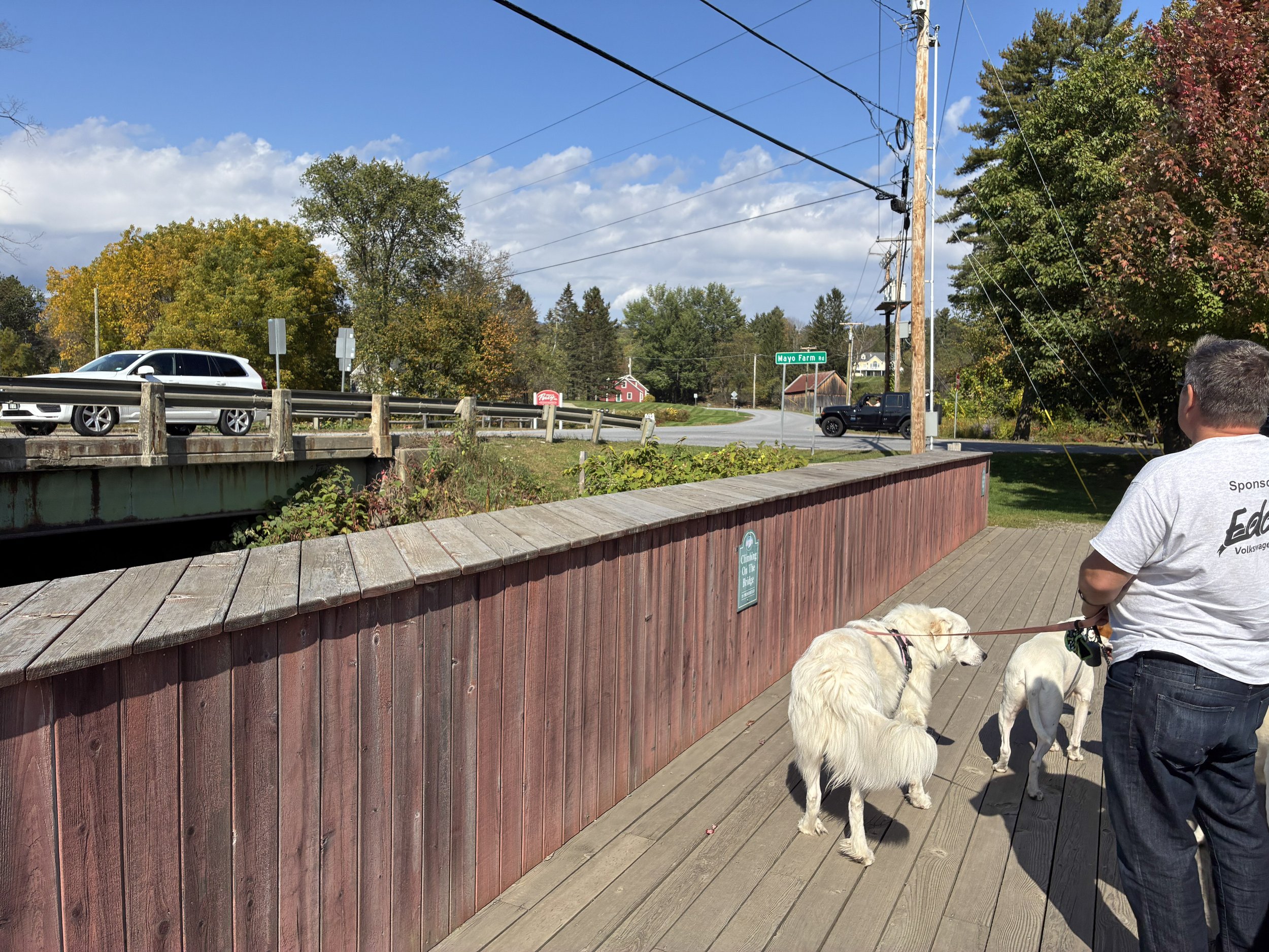 A covered bridge walkway with a man and two white dogs.