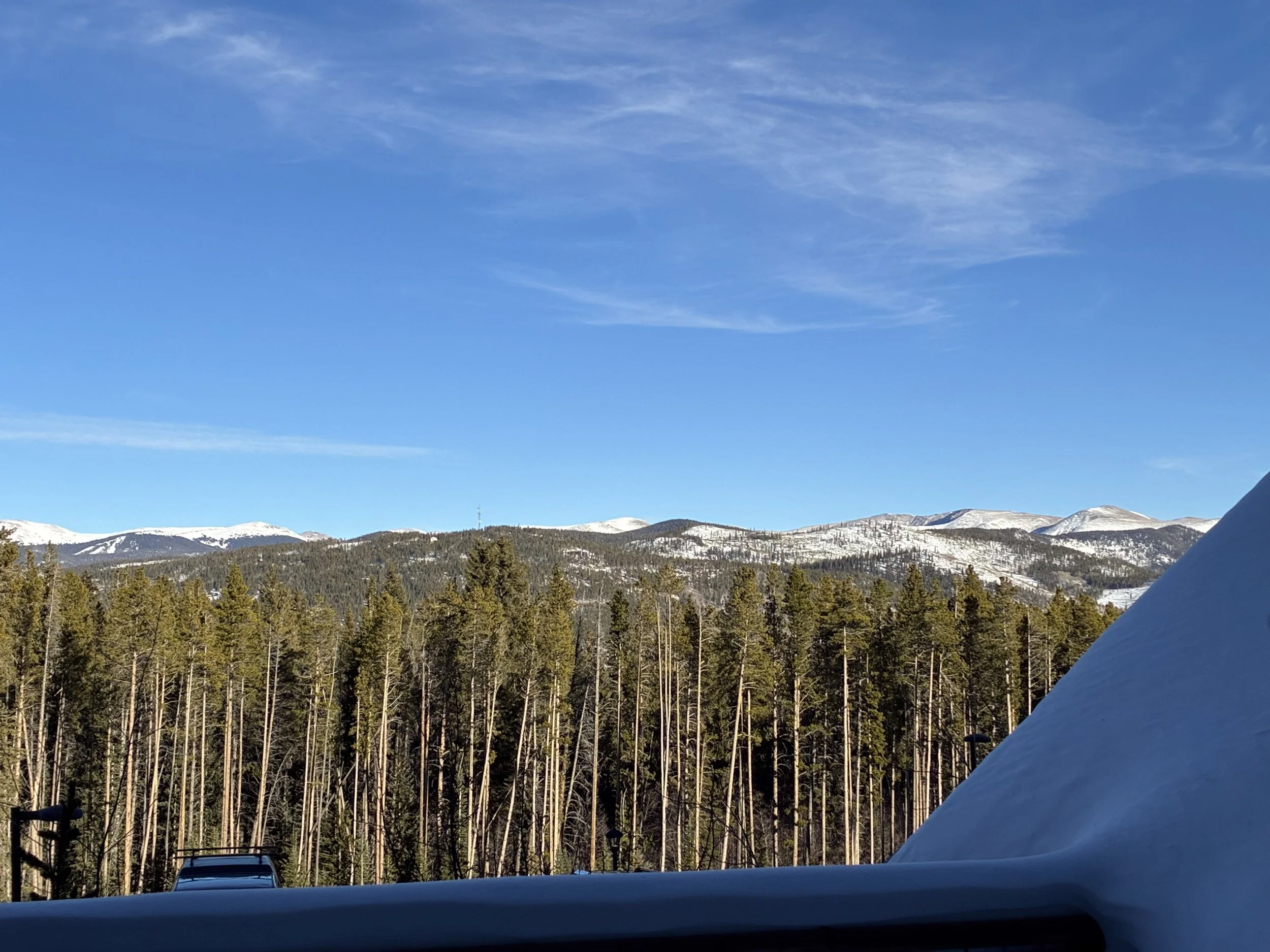 Snowy peaks and pine forest under a blue sky, seen from the balcony.