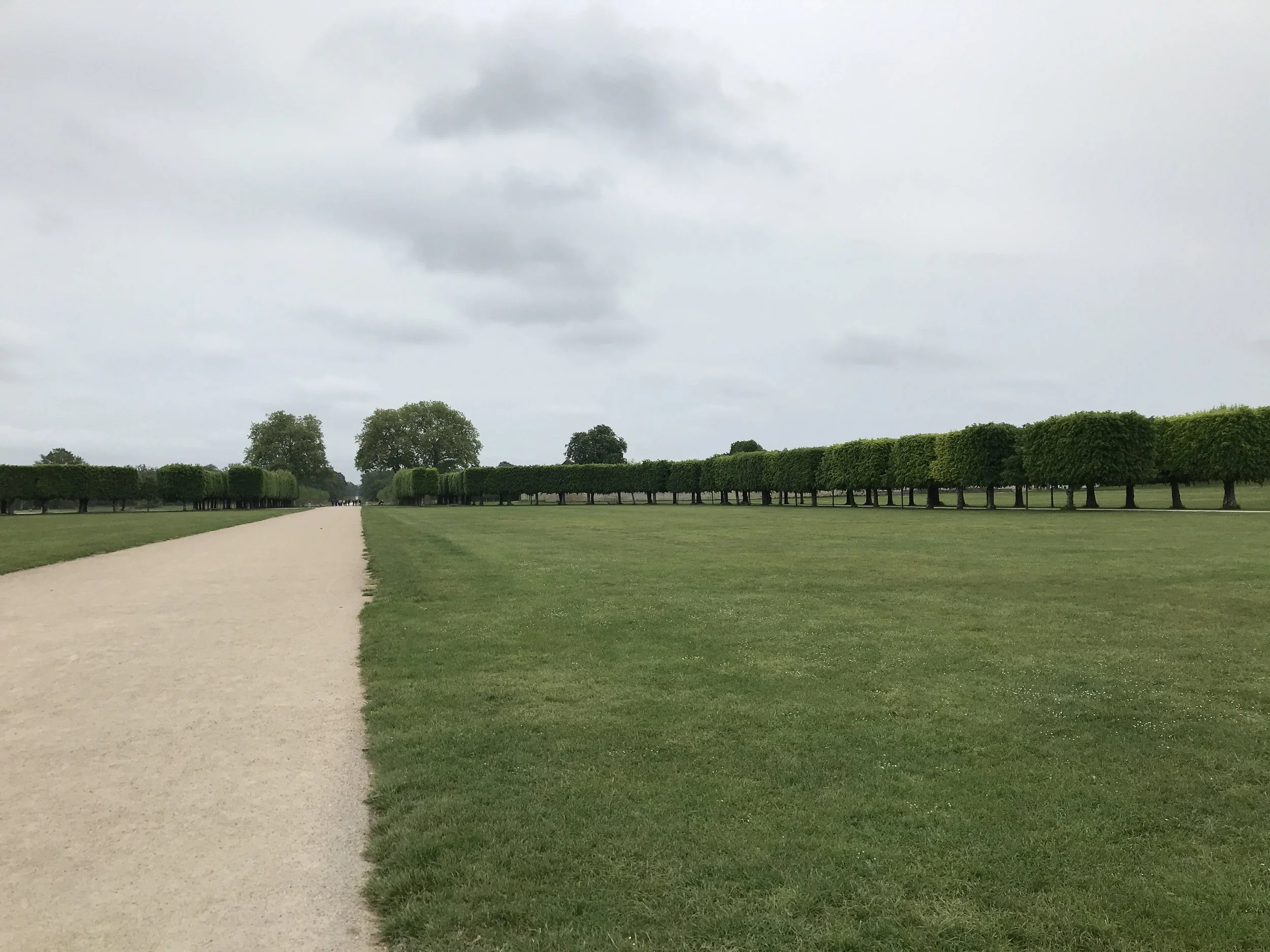 A tree-lined avenue in the park at Chambord.