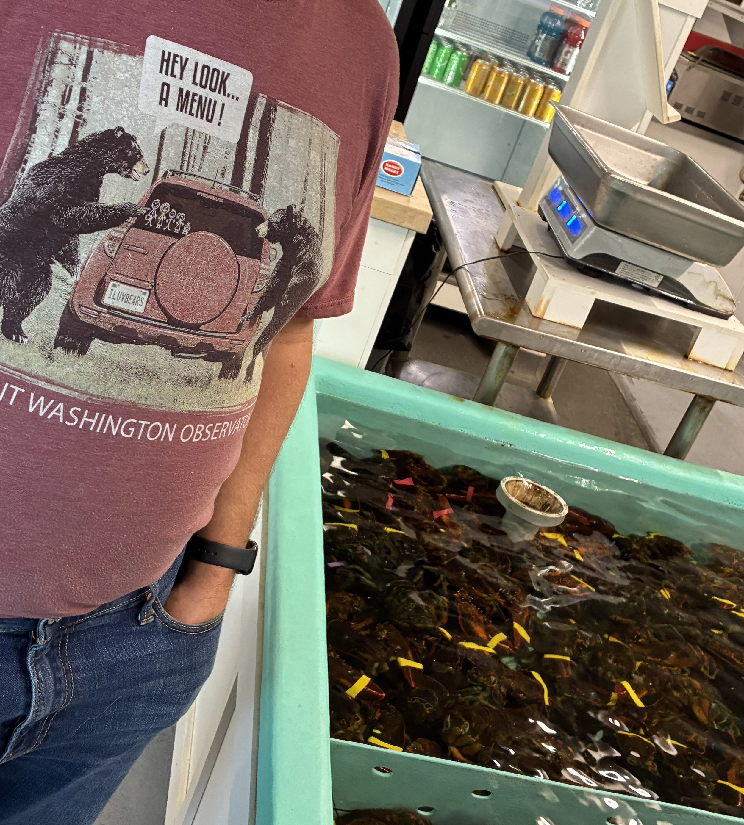 A man leaning over a lobster tank at a seafood shack.