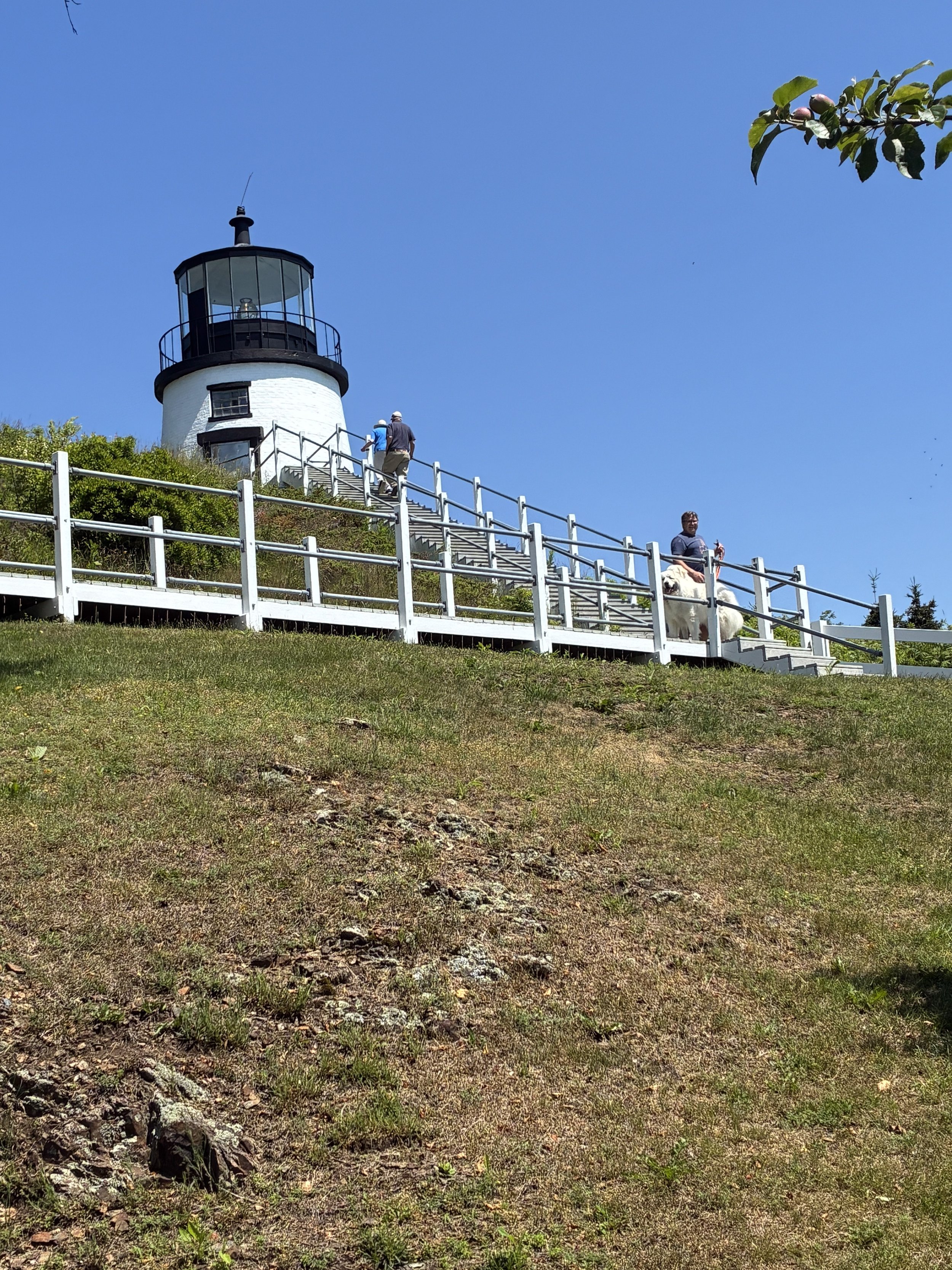 Climbing the long staircase to a hilltop lighthouse — the dog came along.