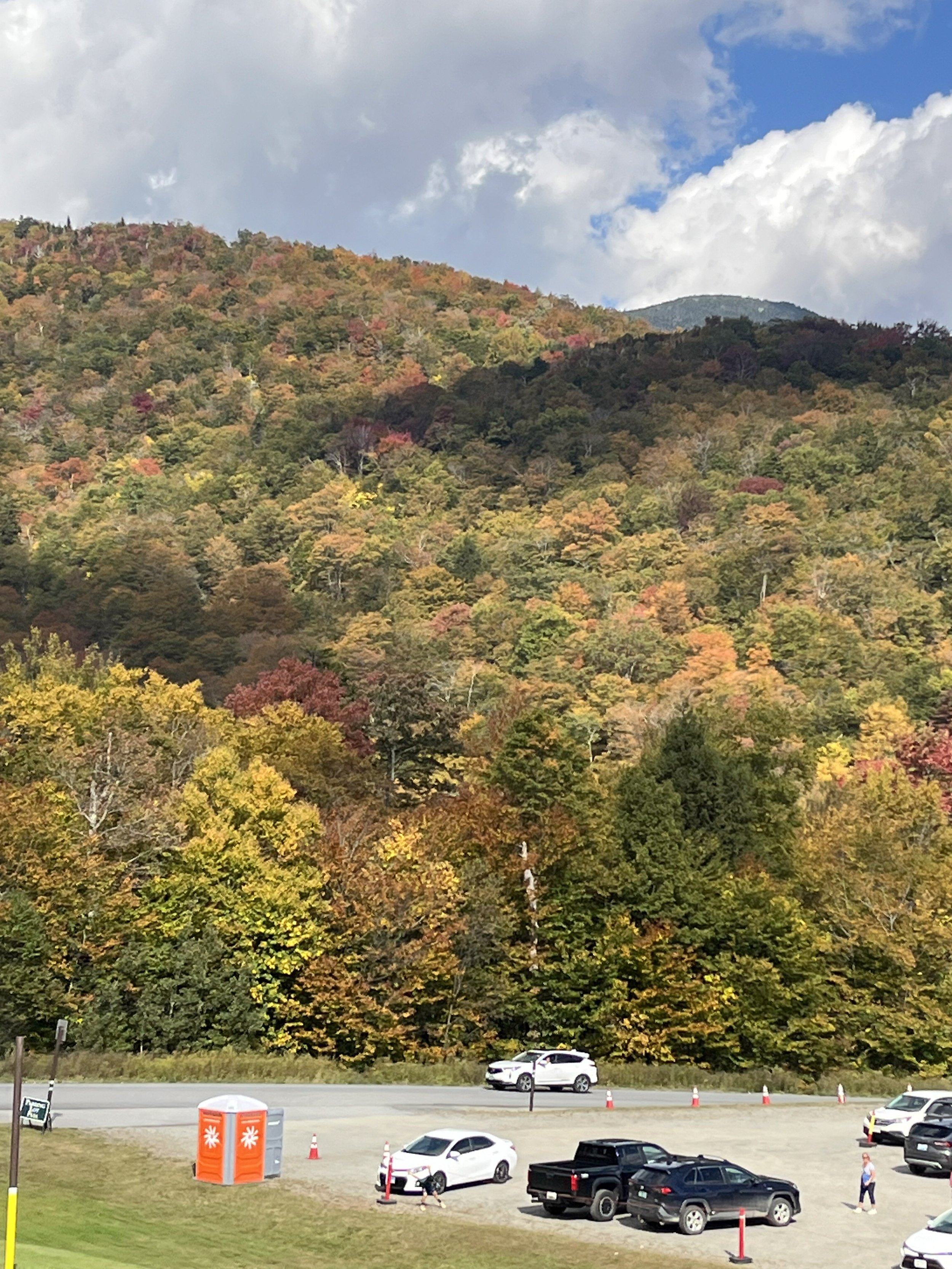 Fall color on a mountainside tagged Stowe, Vermont.