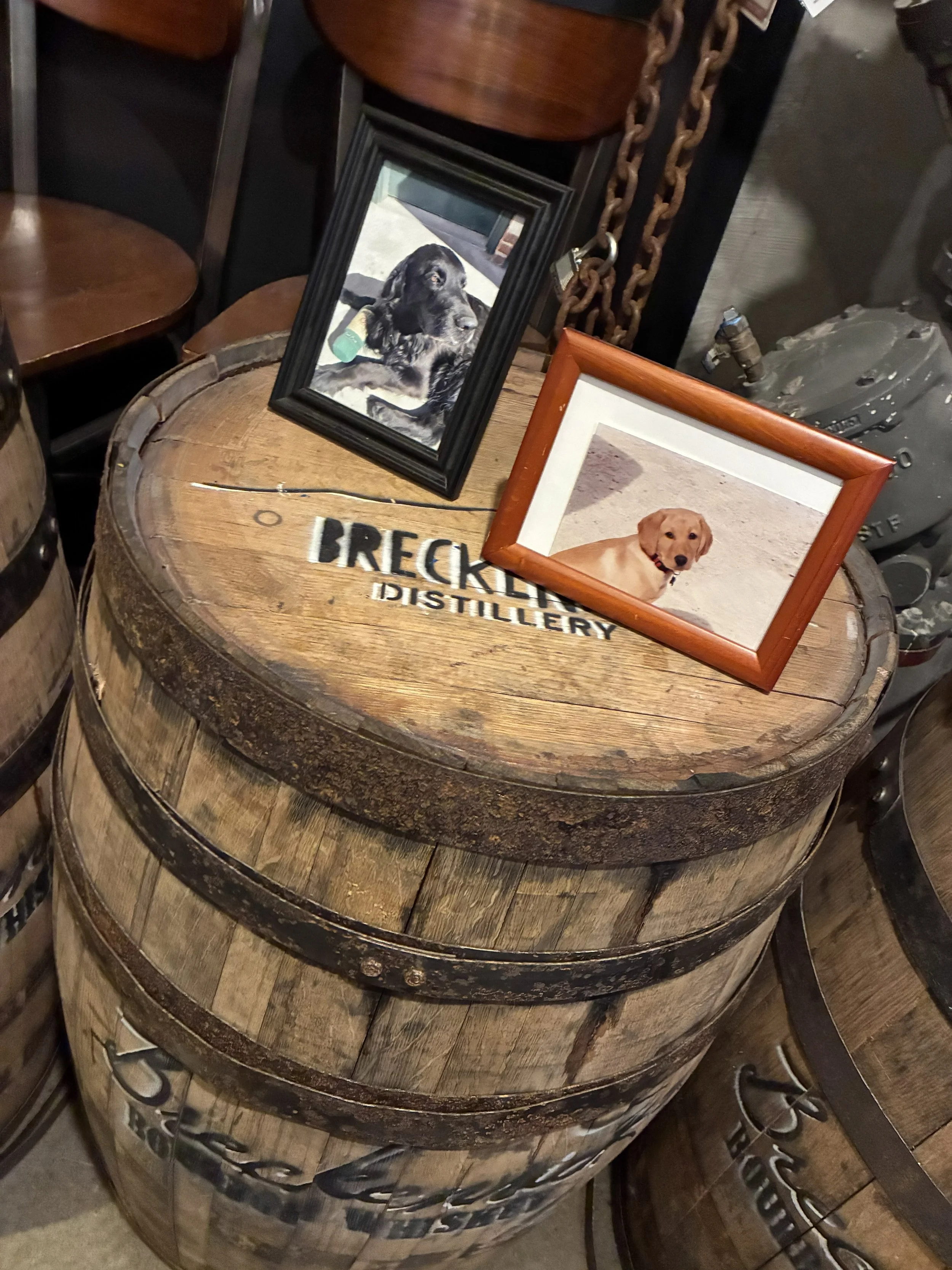 A whiskey barrel outside Breckenridge Distillery, decorated with framed dog photos.