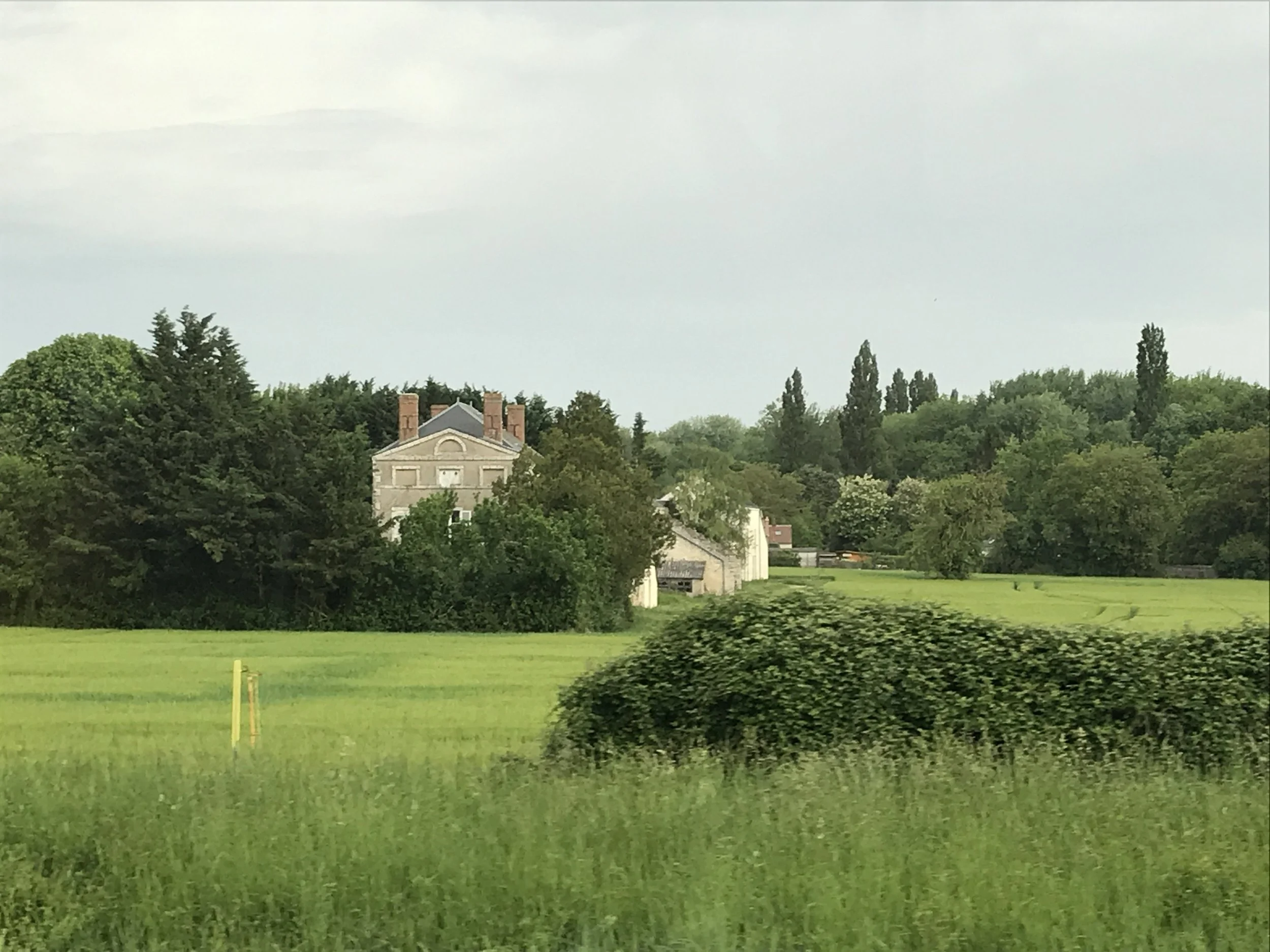 Green fields in the Loire countryside.